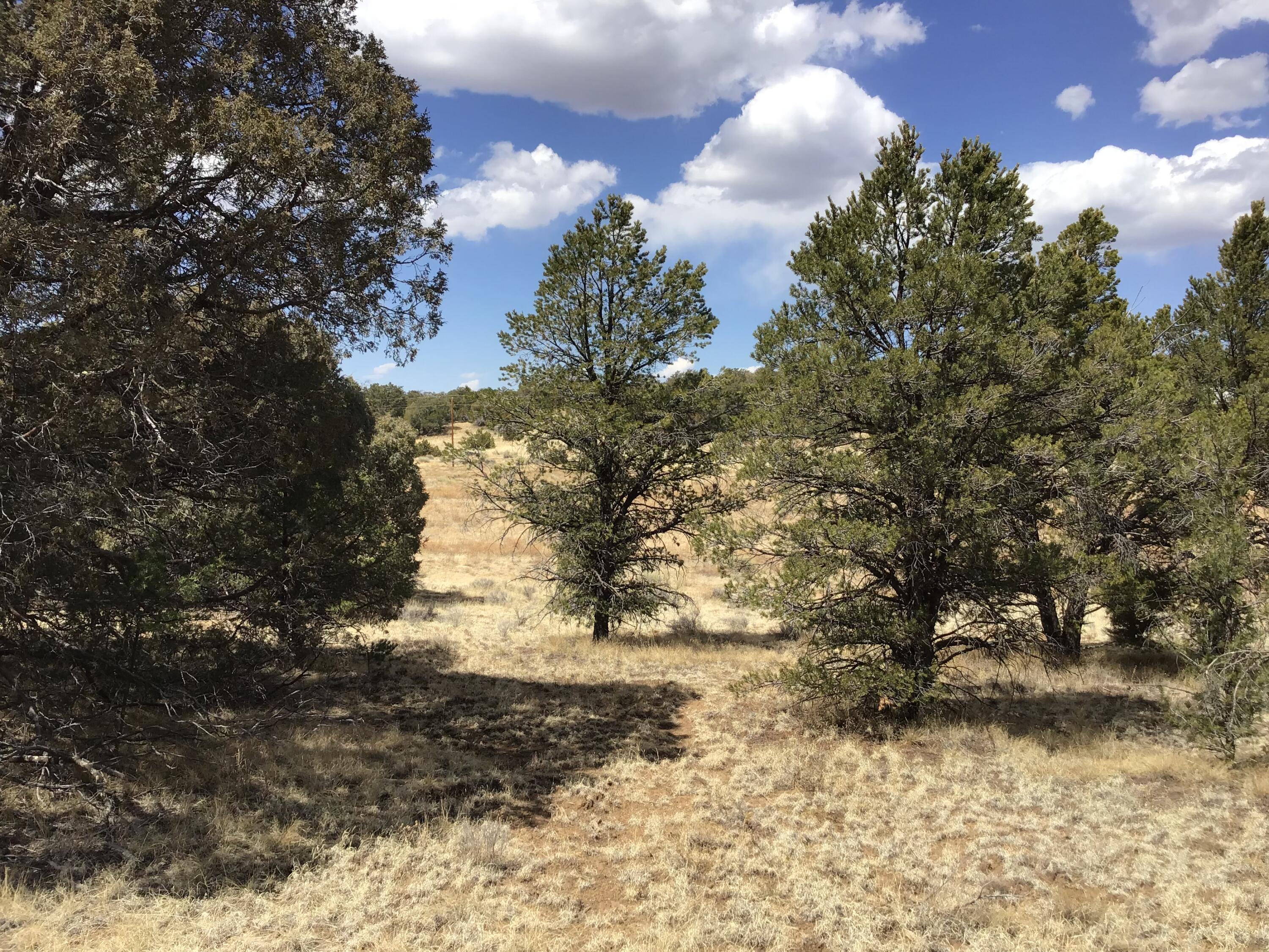 Lot 17 Candy Kitchen Road, Ramah, New Mexico image 13