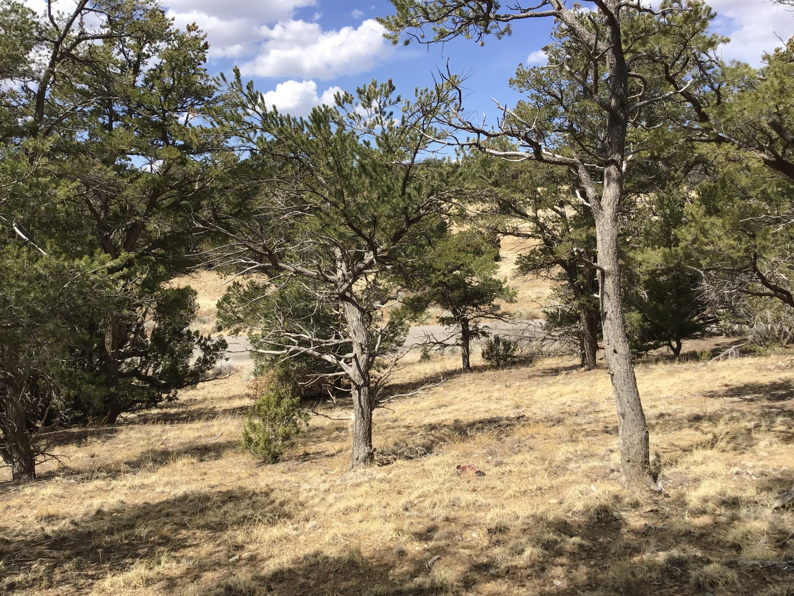 Lot 17 Candy Kitchen Road, Ramah, New Mexico image 31