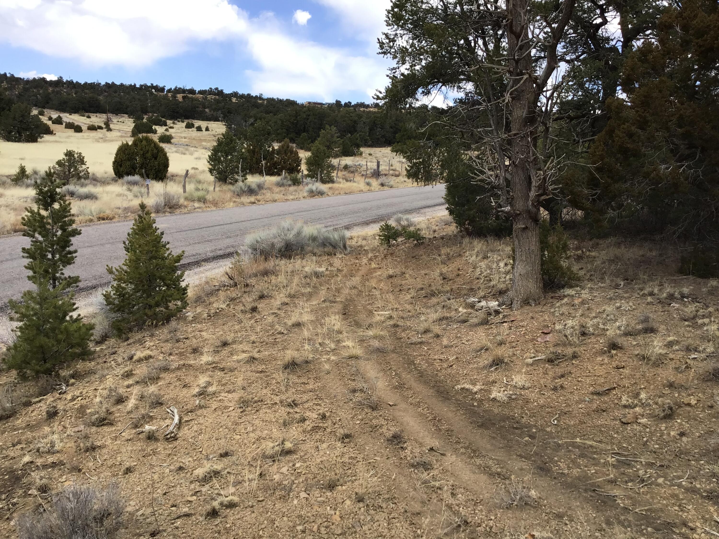 Lot 17 Candy Kitchen Road, Ramah, New Mexico image 26