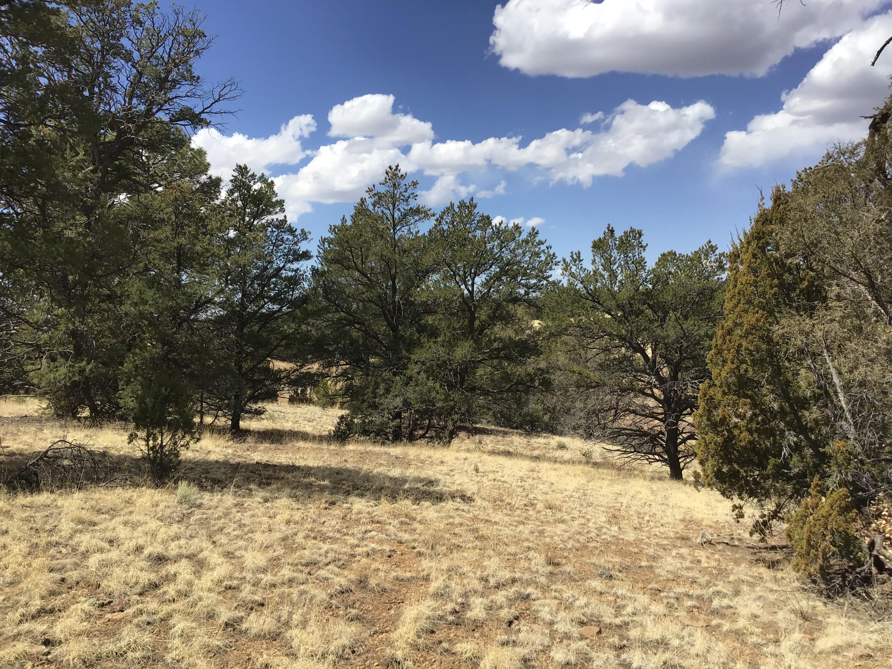Lot 17 Candy Kitchen Road, Ramah, New Mexico image 11