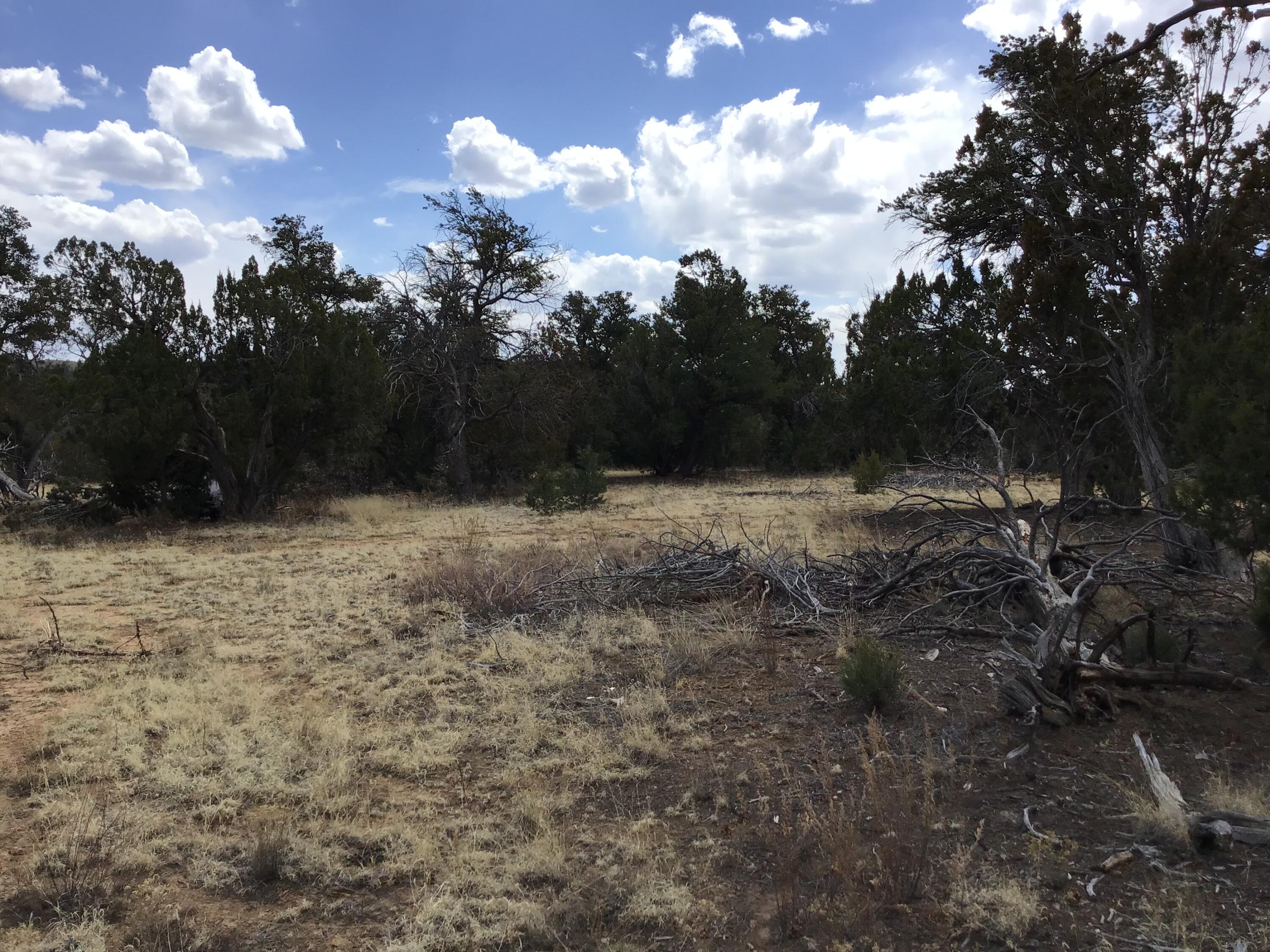 Lot 17 Candy Kitchen Road, Ramah, New Mexico image 22