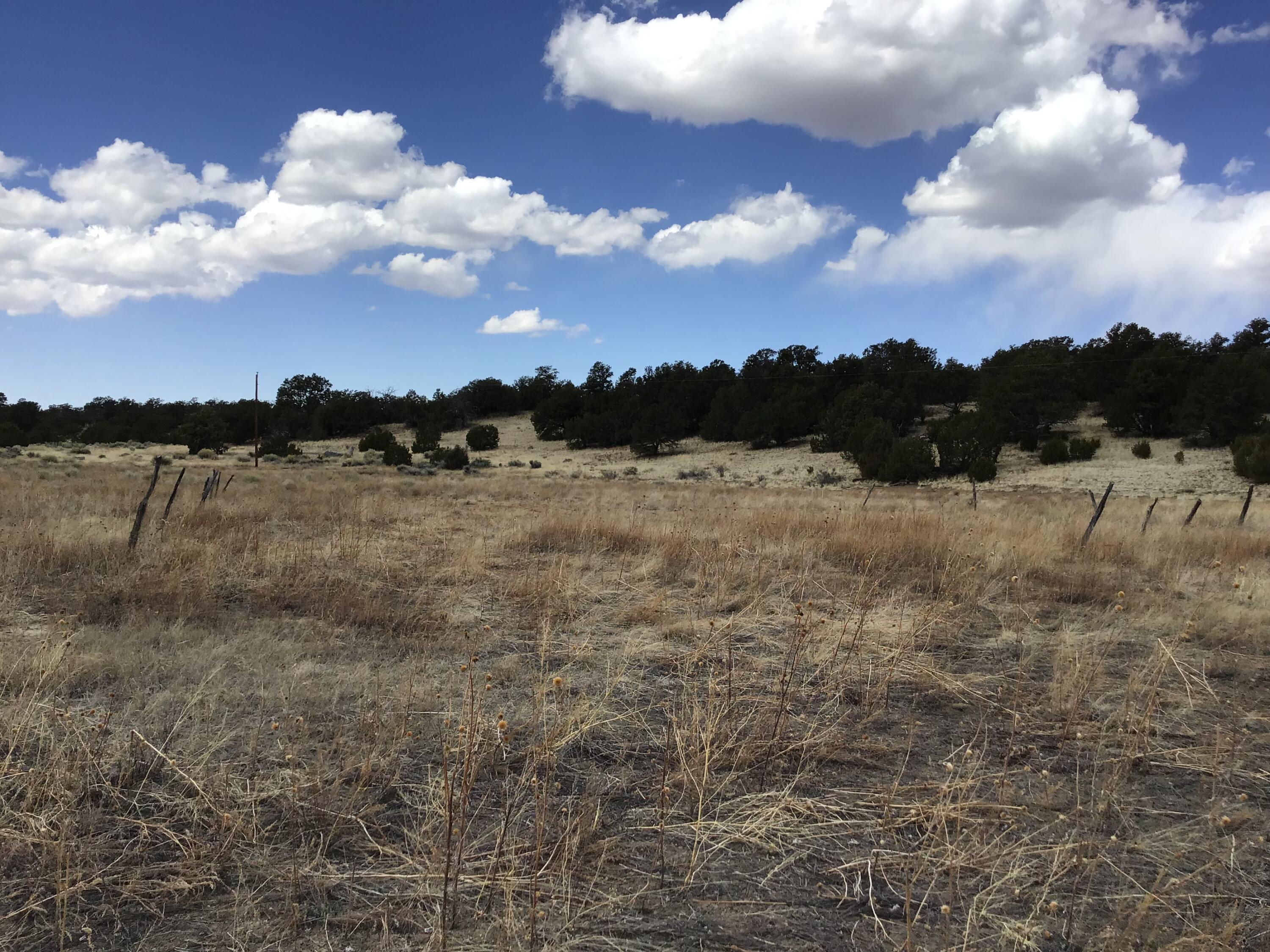 Lot 17 Candy Kitchen Road, Ramah, New Mexico image 15