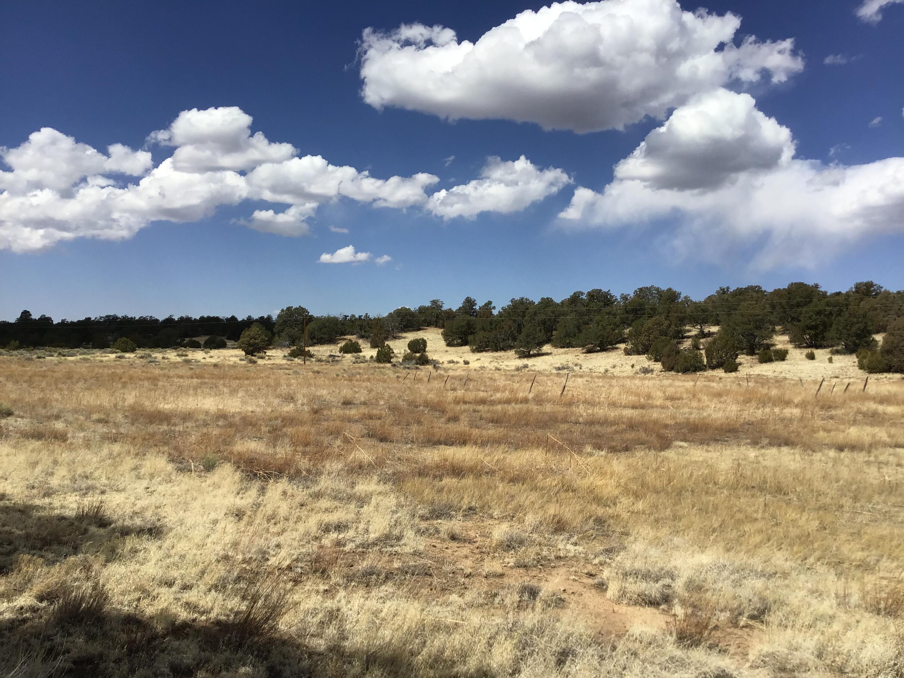 Lot 17 Candy Kitchen Road, Ramah, New Mexico image 14