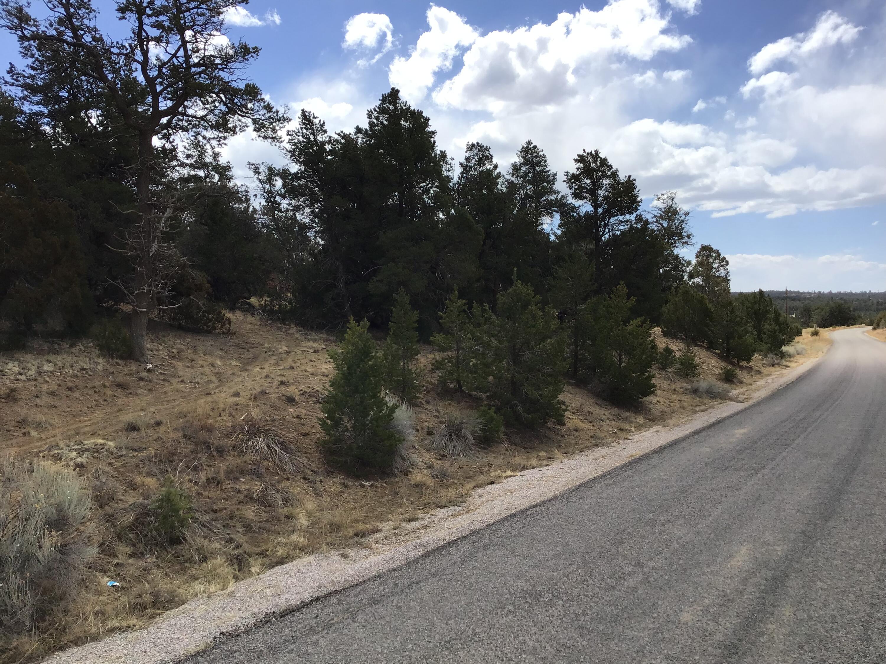 Lot 17 Candy Kitchen Road, Ramah, New Mexico image 28