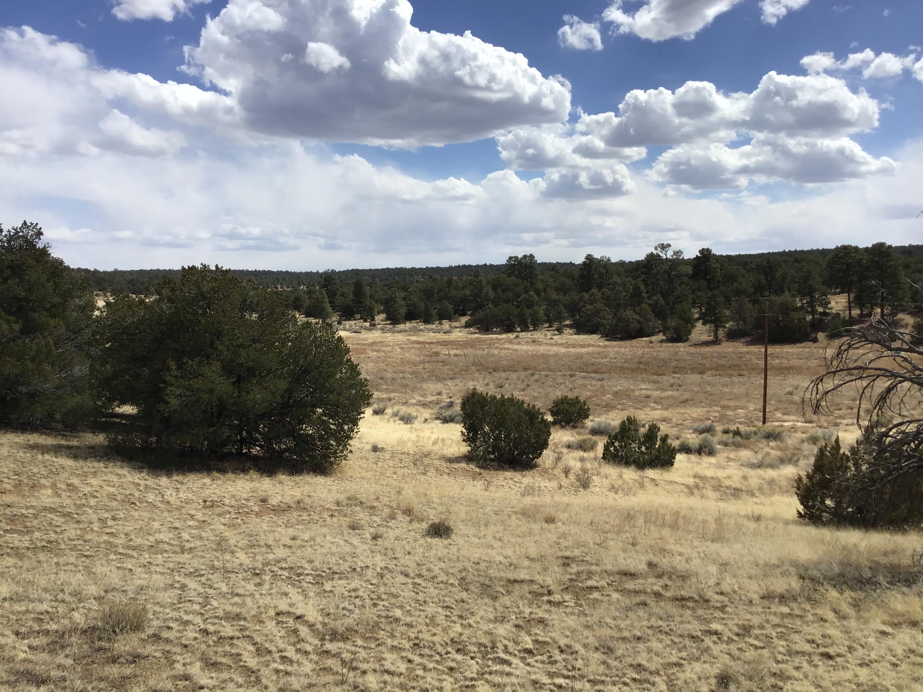 Lot 17 Candy Kitchen Road, Ramah, New Mexico image 4