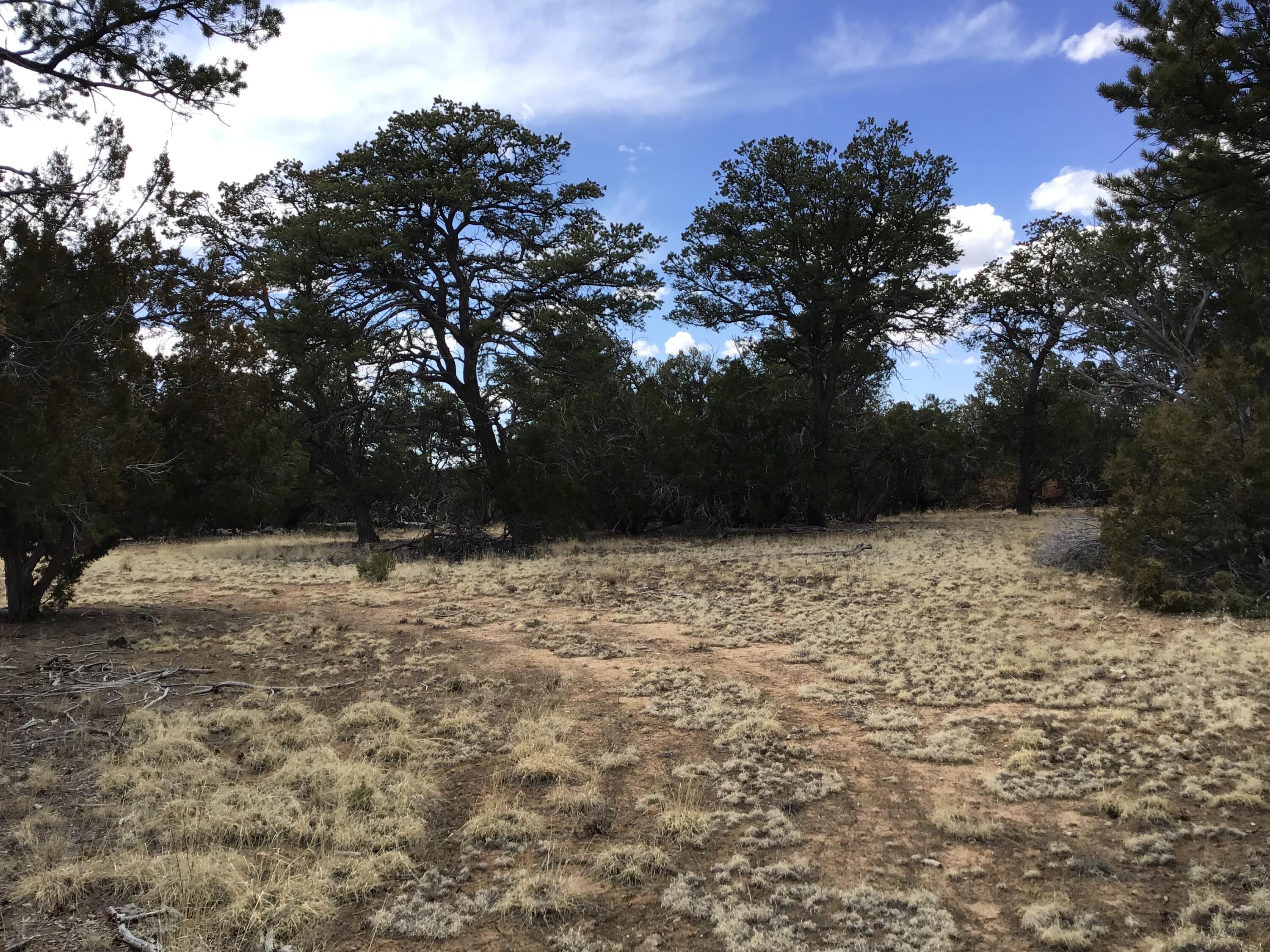 Lot 17 Candy Kitchen Road, Ramah, New Mexico image 21