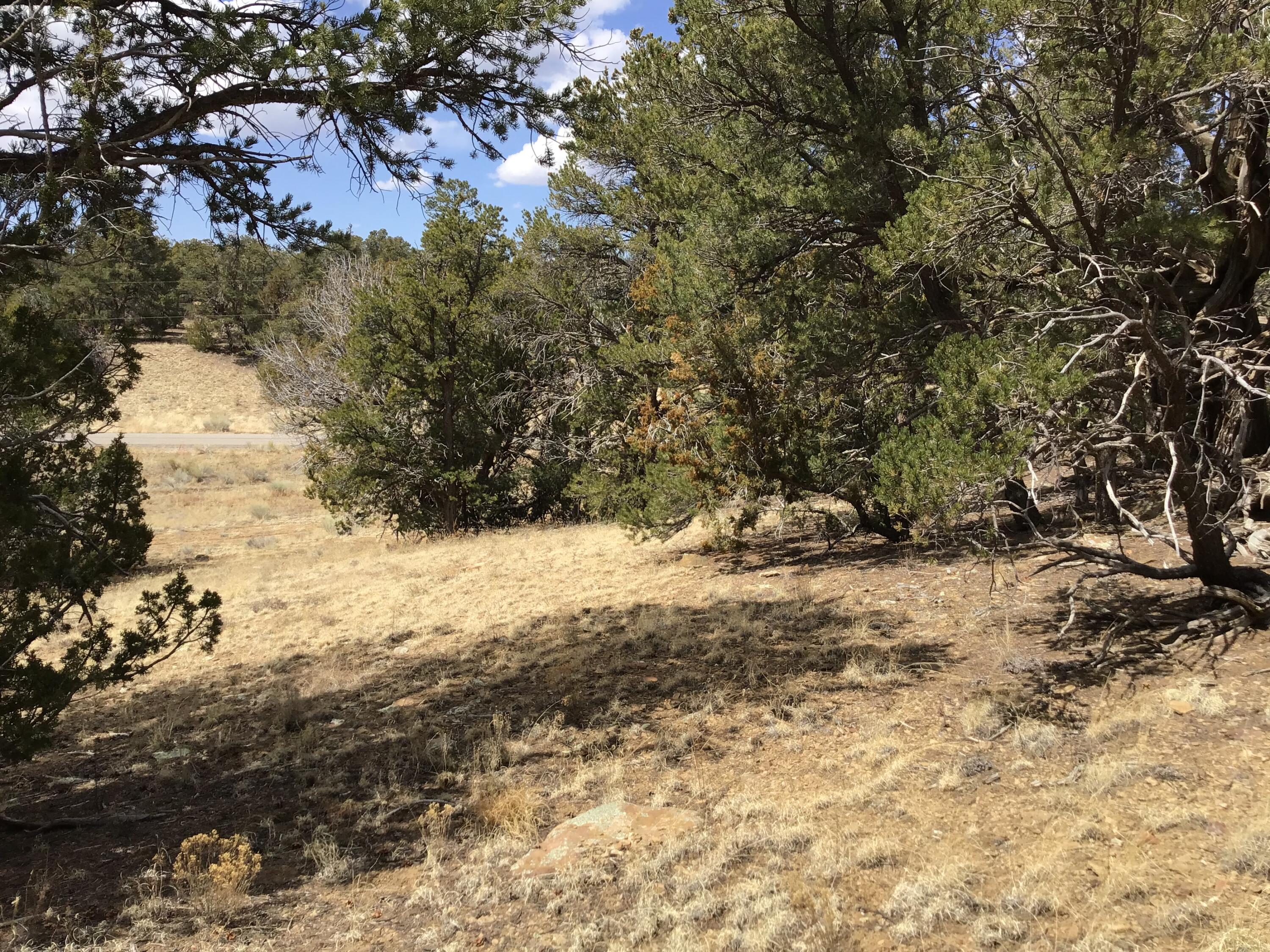 Lot 17 Candy Kitchen Road, Ramah, New Mexico image 34