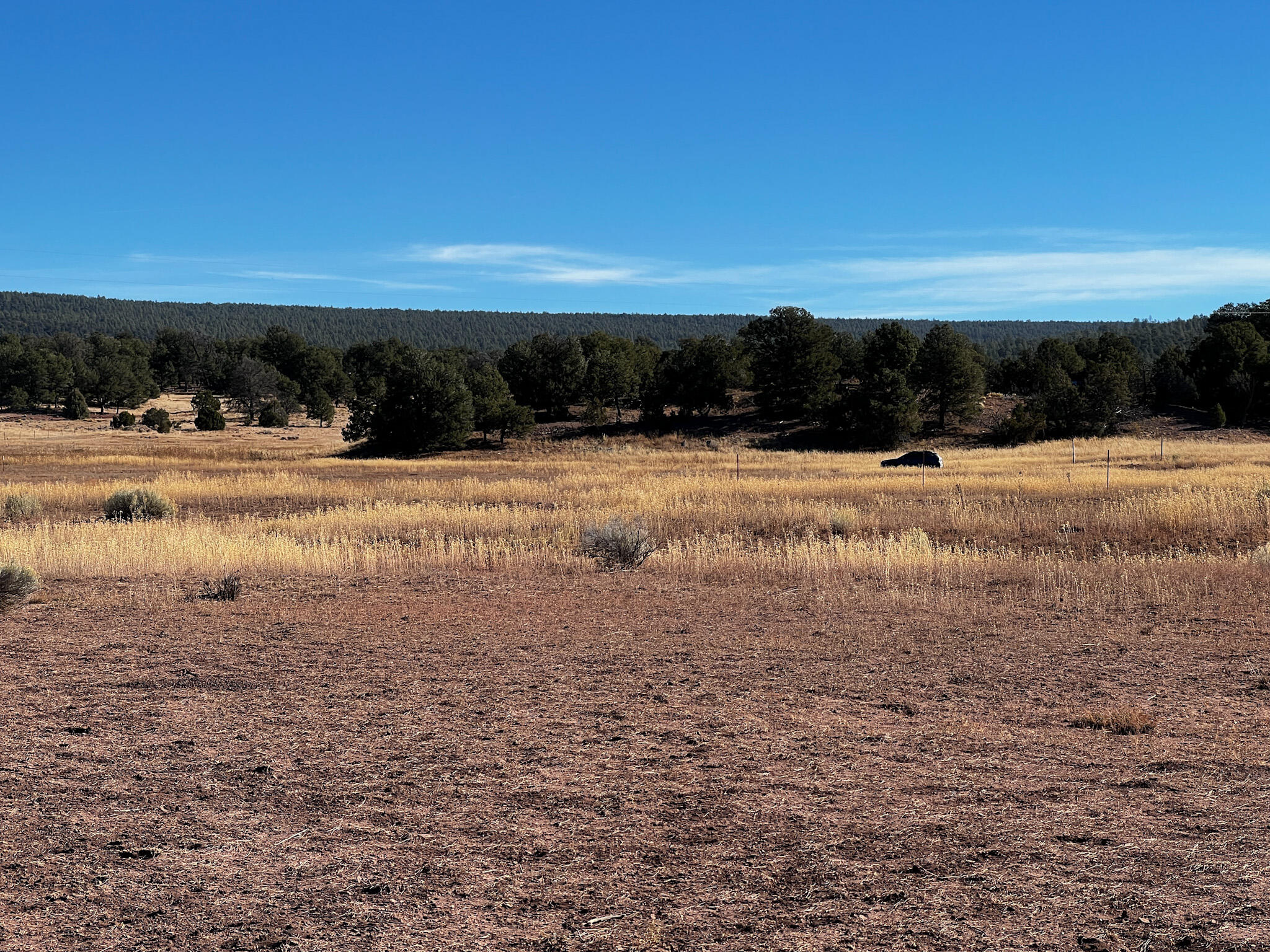 R301672 Box S Ranch Road, Ramah, New Mexico image 6