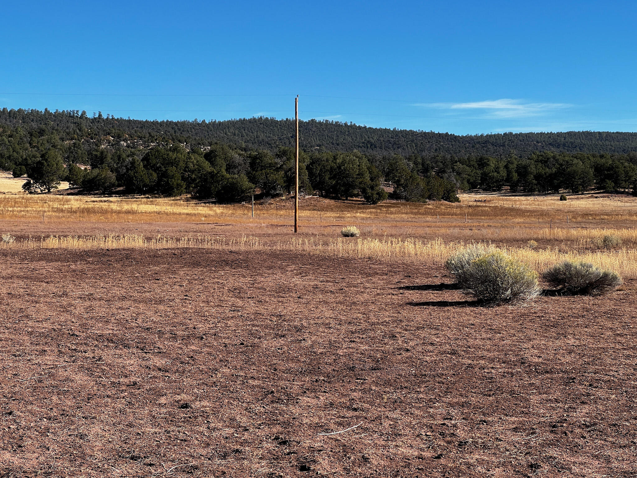 R301672 Box S Ranch Road, Ramah, New Mexico image 5