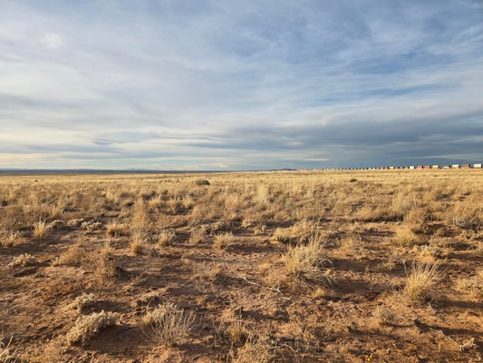 2 BACA LN, BELEN, NM 87002 - Image 8e5d96b0ec61be5a3ce063cb11ebbfd4/1633183769