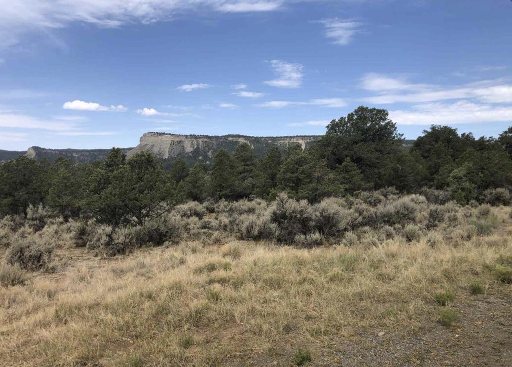 S Leaning Lot B, Tierra Amarilla, New Mexico image 1