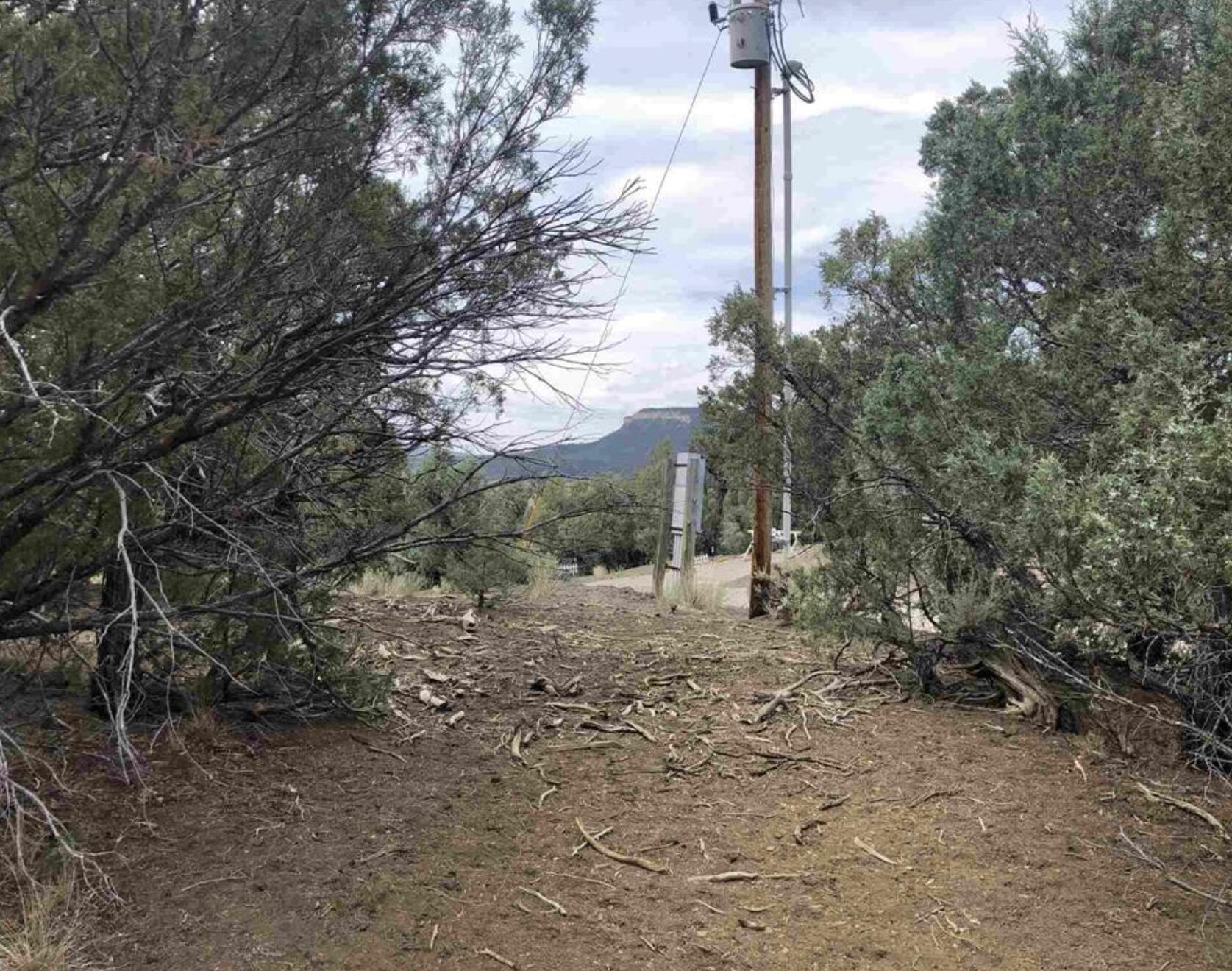 S Leaning Lot B, Tierra Amarilla, New Mexico image 2