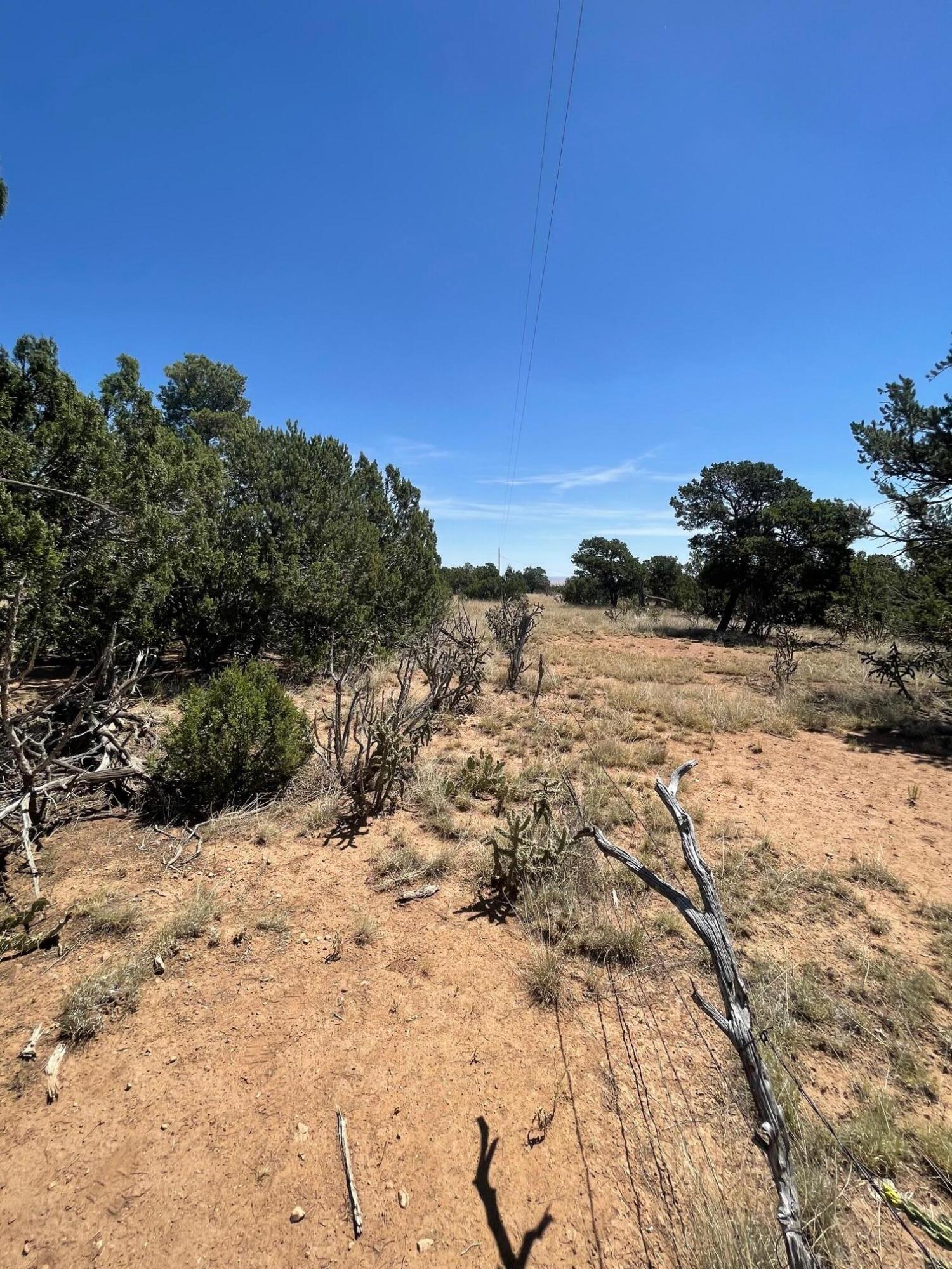 14 Tierra Encantada Road, Edgewood, New Mexico image 13