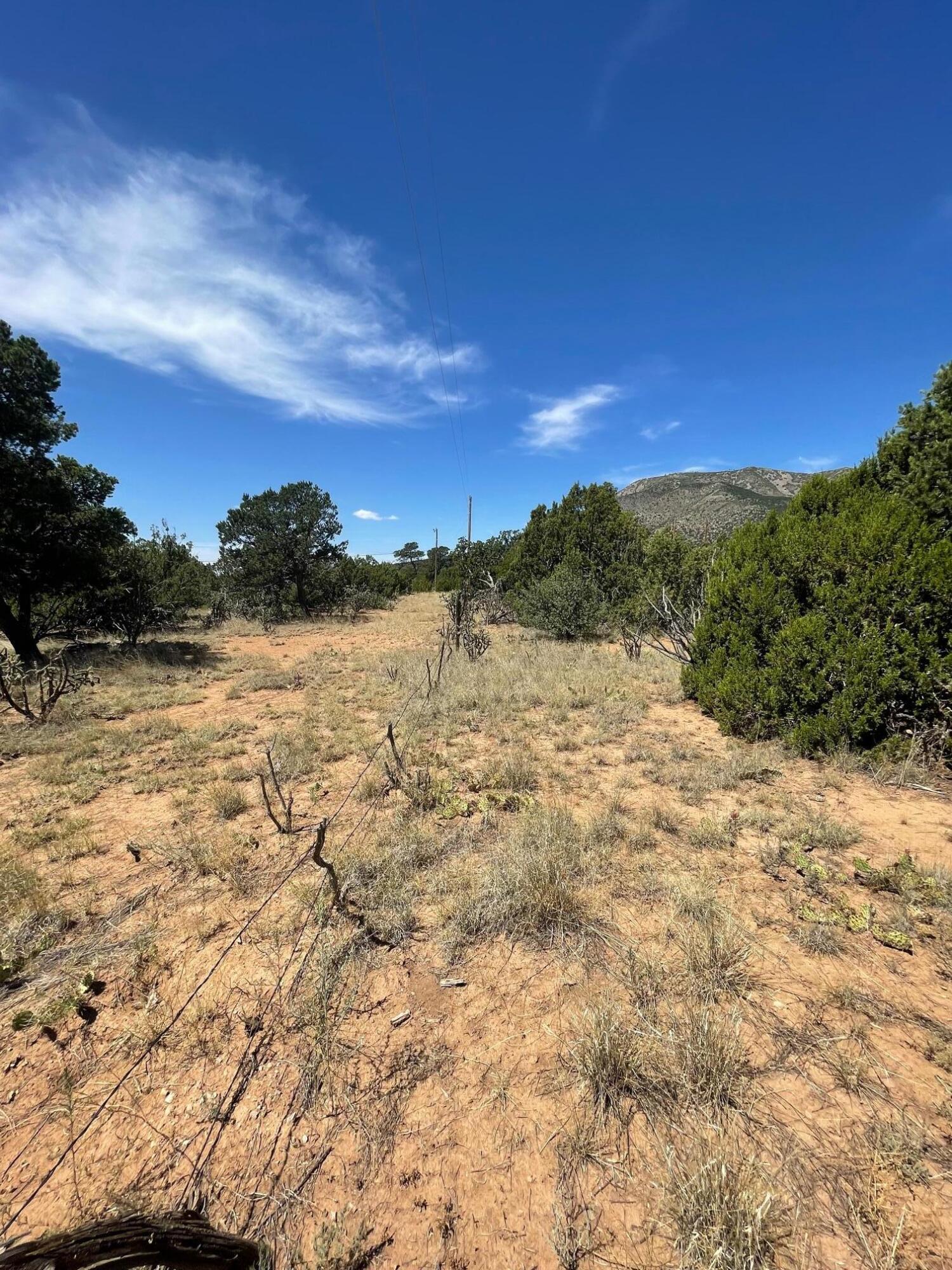 14 Tierra Encantada Road, Edgewood, New Mexico image 12