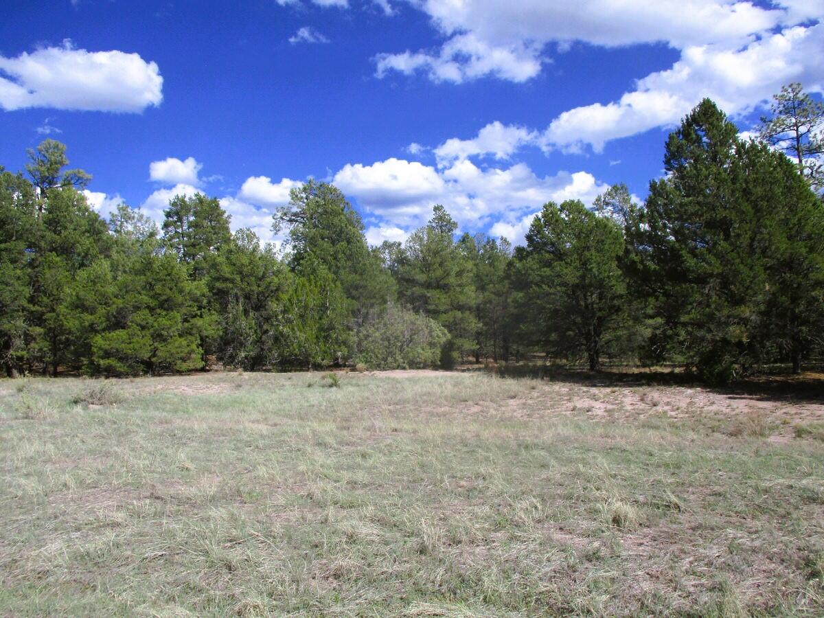 Lot 5 Copperweed Road