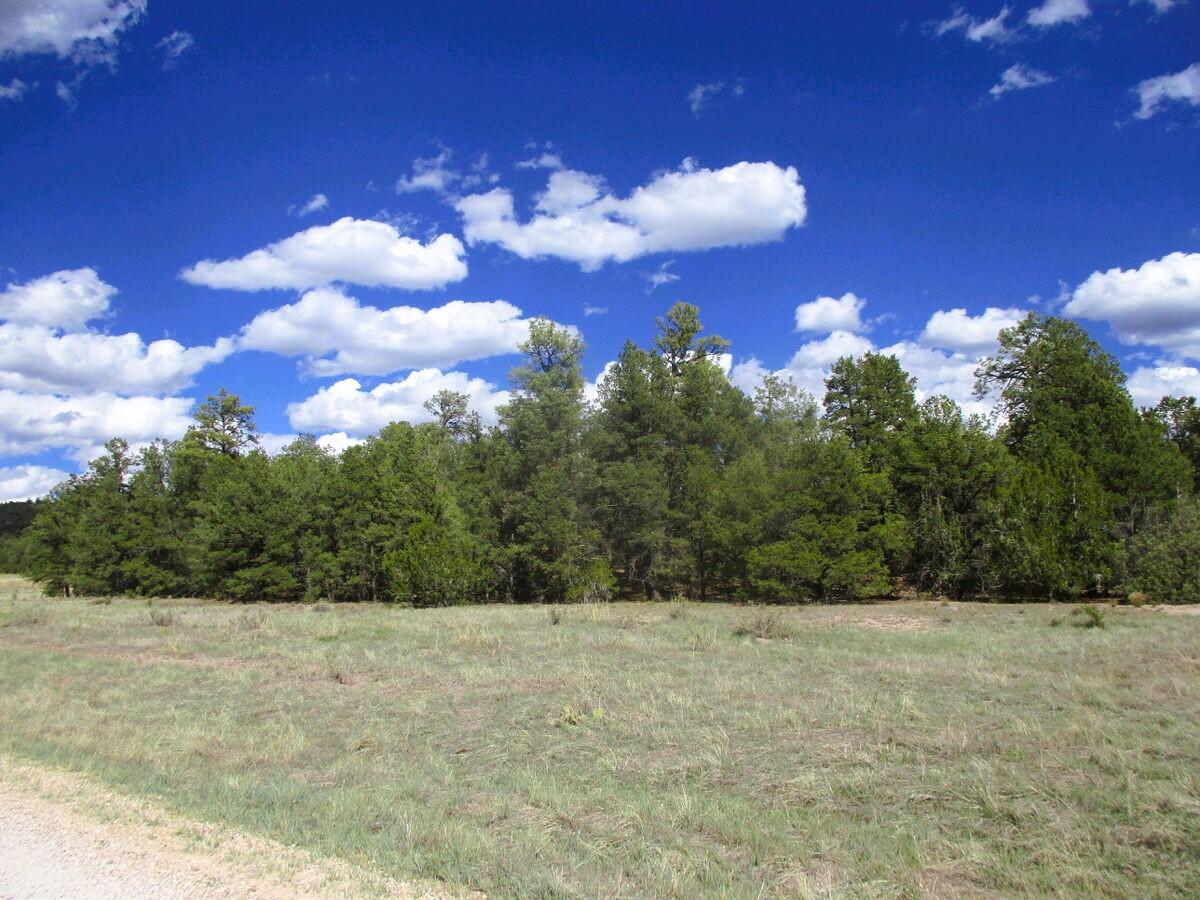 Lot 5 Copperweed Road