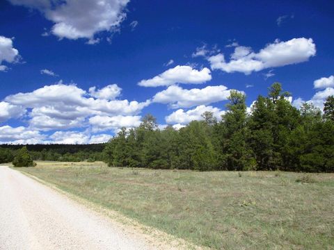 Vacant Land For Sale - LOT 5 Copperweed Road<br/> Cibola County, Ramah, NM 87321