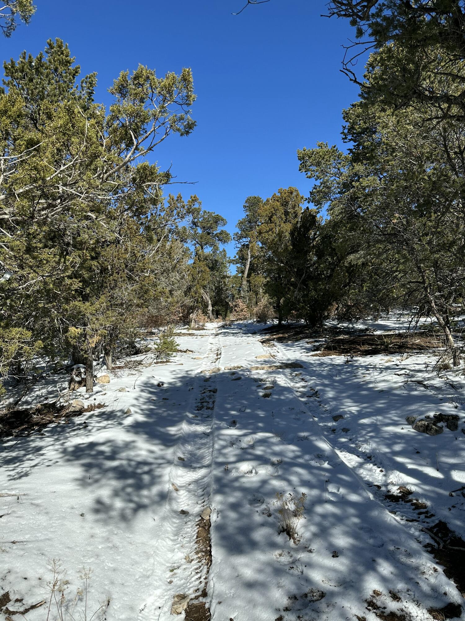 18 High Noon Dr, Edgewood, New Mexico image 1