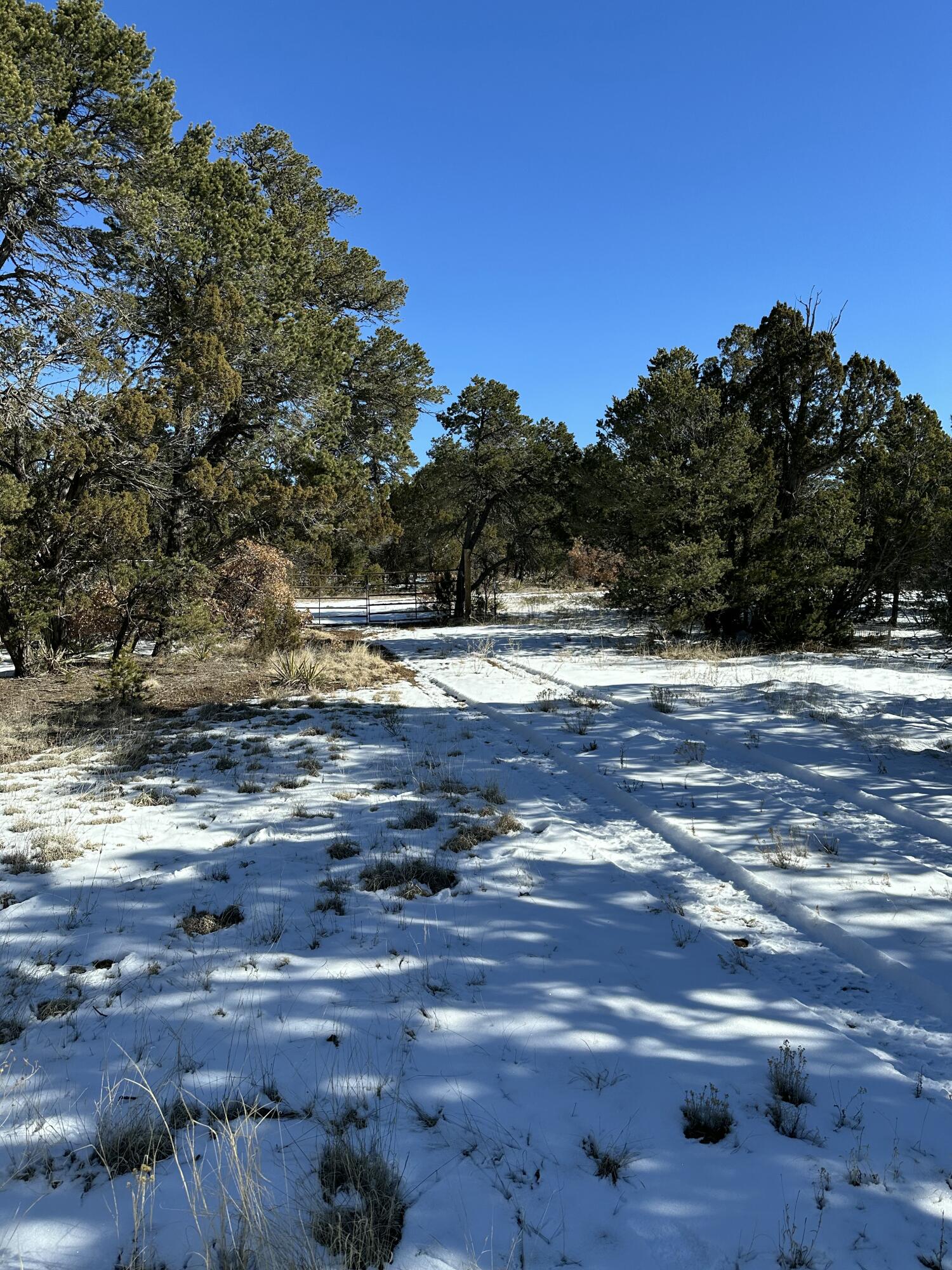 18 High Noon Dr, Edgewood, New Mexico image 6