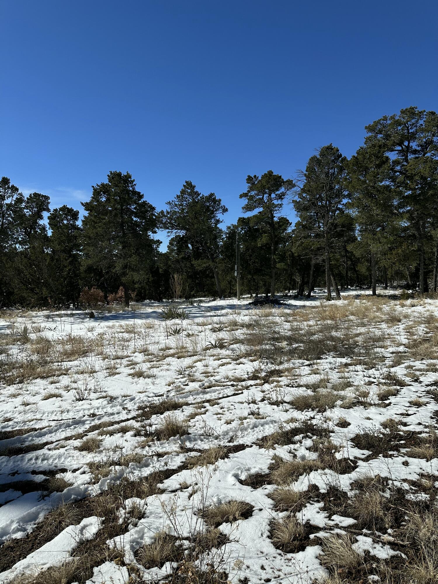 18 High Noon Dr, Edgewood, New Mexico image 7