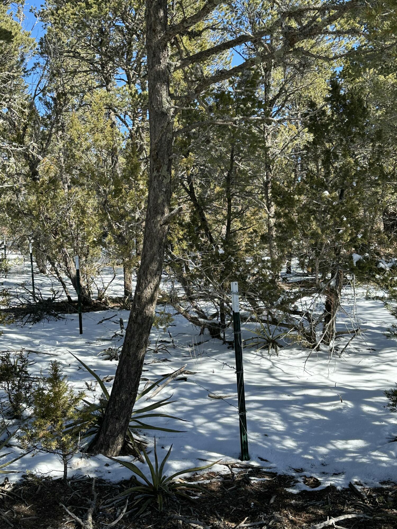 18 High Noon Dr, Edgewood, New Mexico image 4