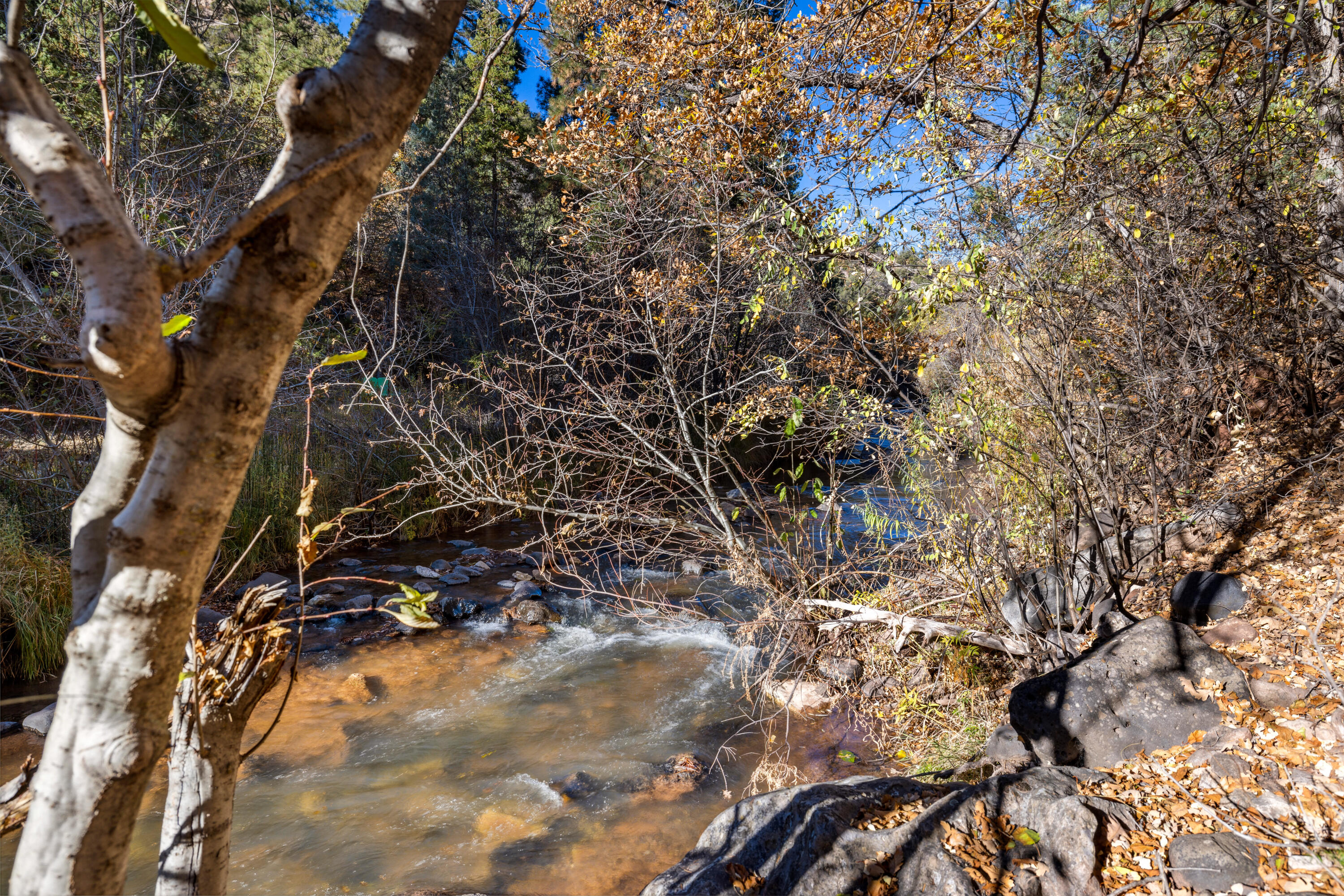 623 San Digeo Loop, Jemez Springs, New Mexico image 8
