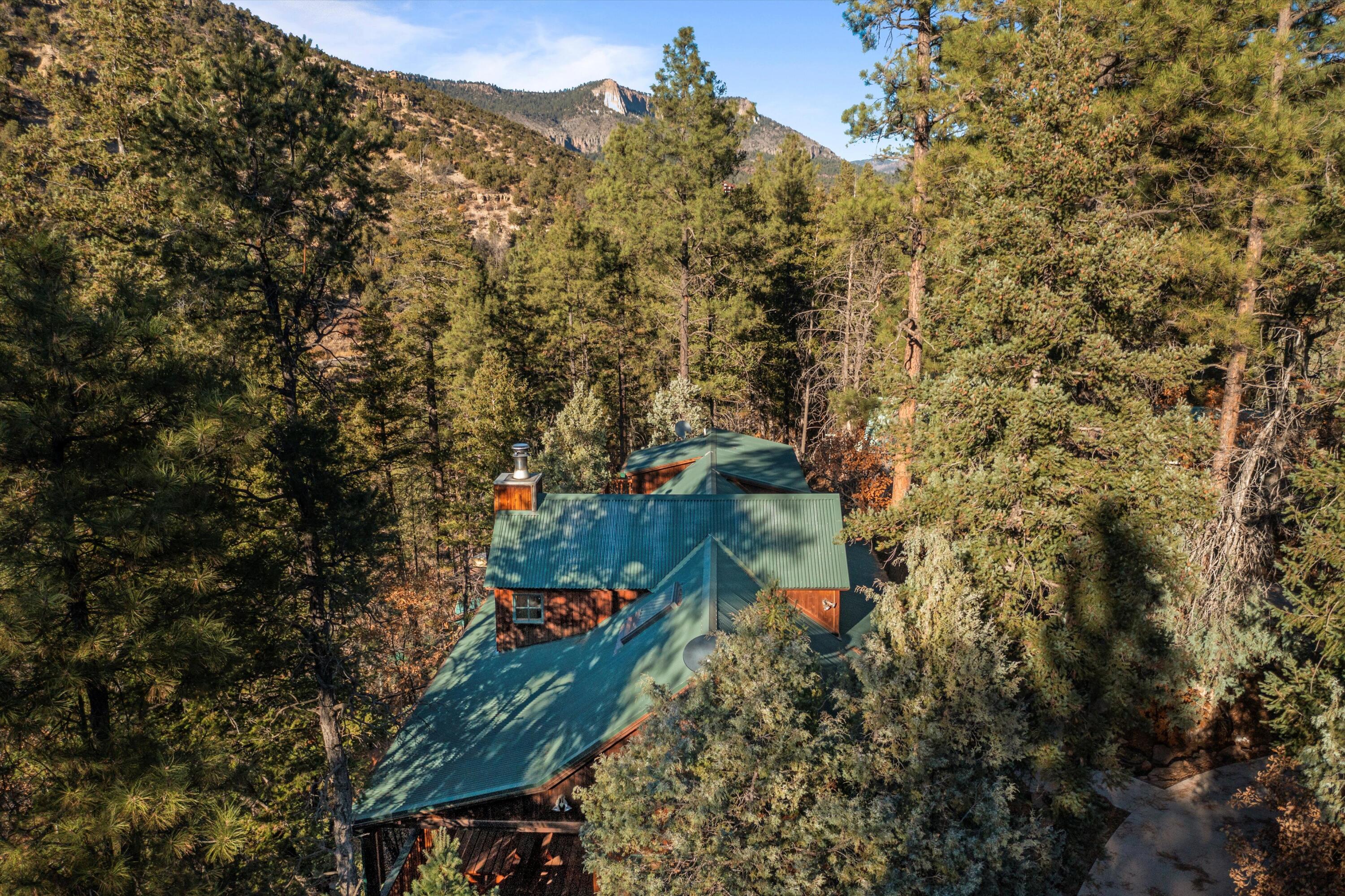 623 San Digeo Loop, Jemez Springs, New Mexico image 46