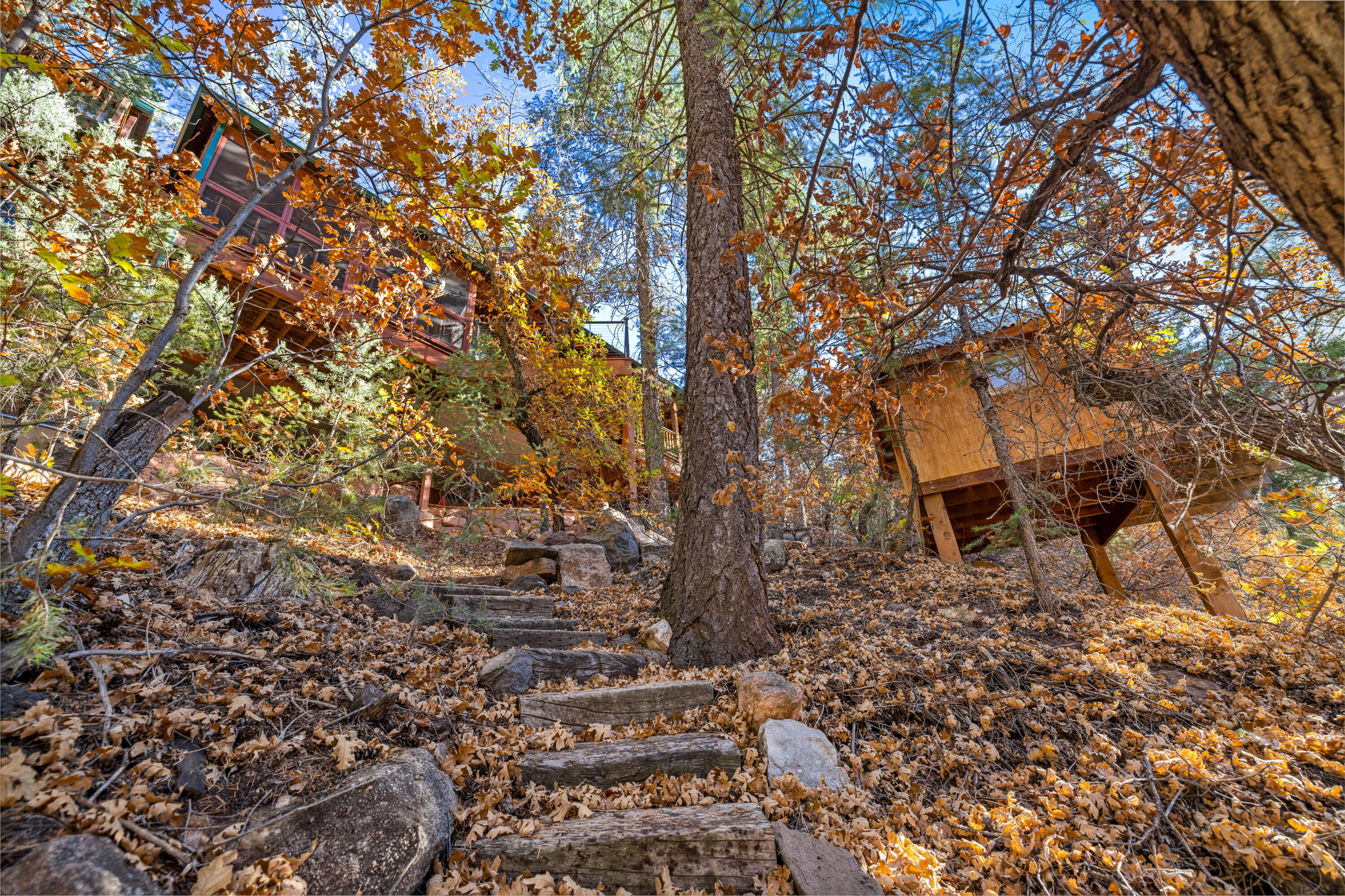 623 San Digeo Loop, Jemez Springs, New Mexico image 9