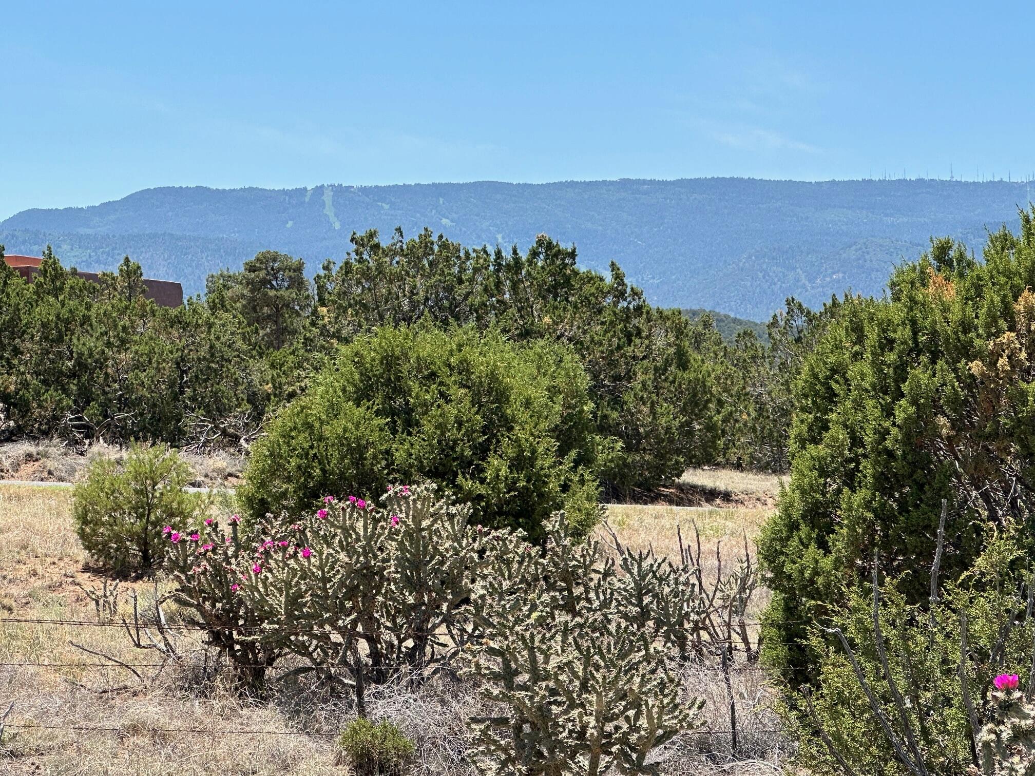 29 Via Entrada, Sandia Park, New Mexico image 1