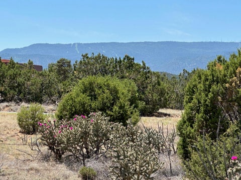 Vacant Land For Sale - 29 Via Entrada<br/> Sandia Park, NM 87047