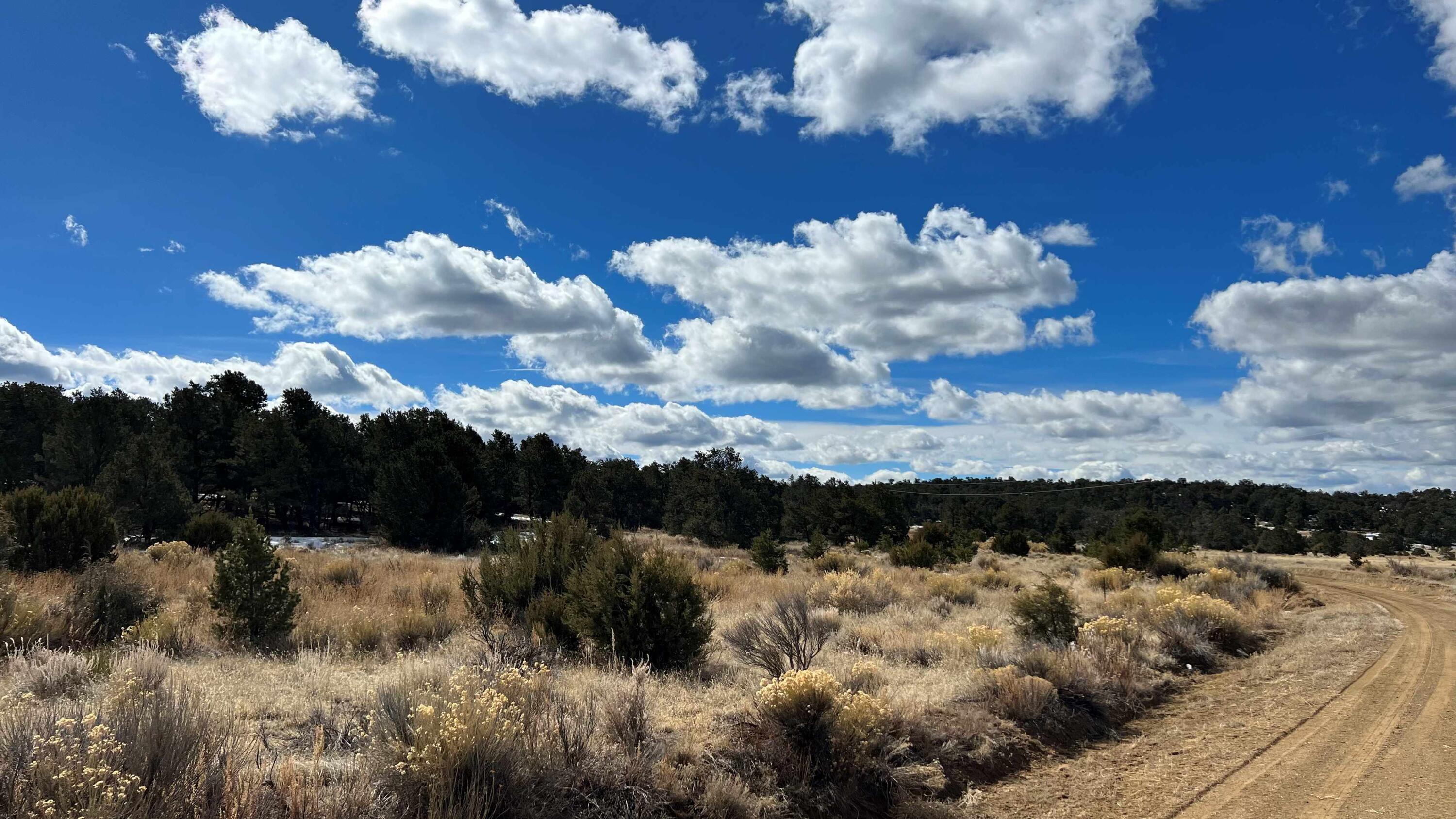 Phase 4 Lot 13 Wild Horse Subd Rd, Pie Town, New Mexico image 3