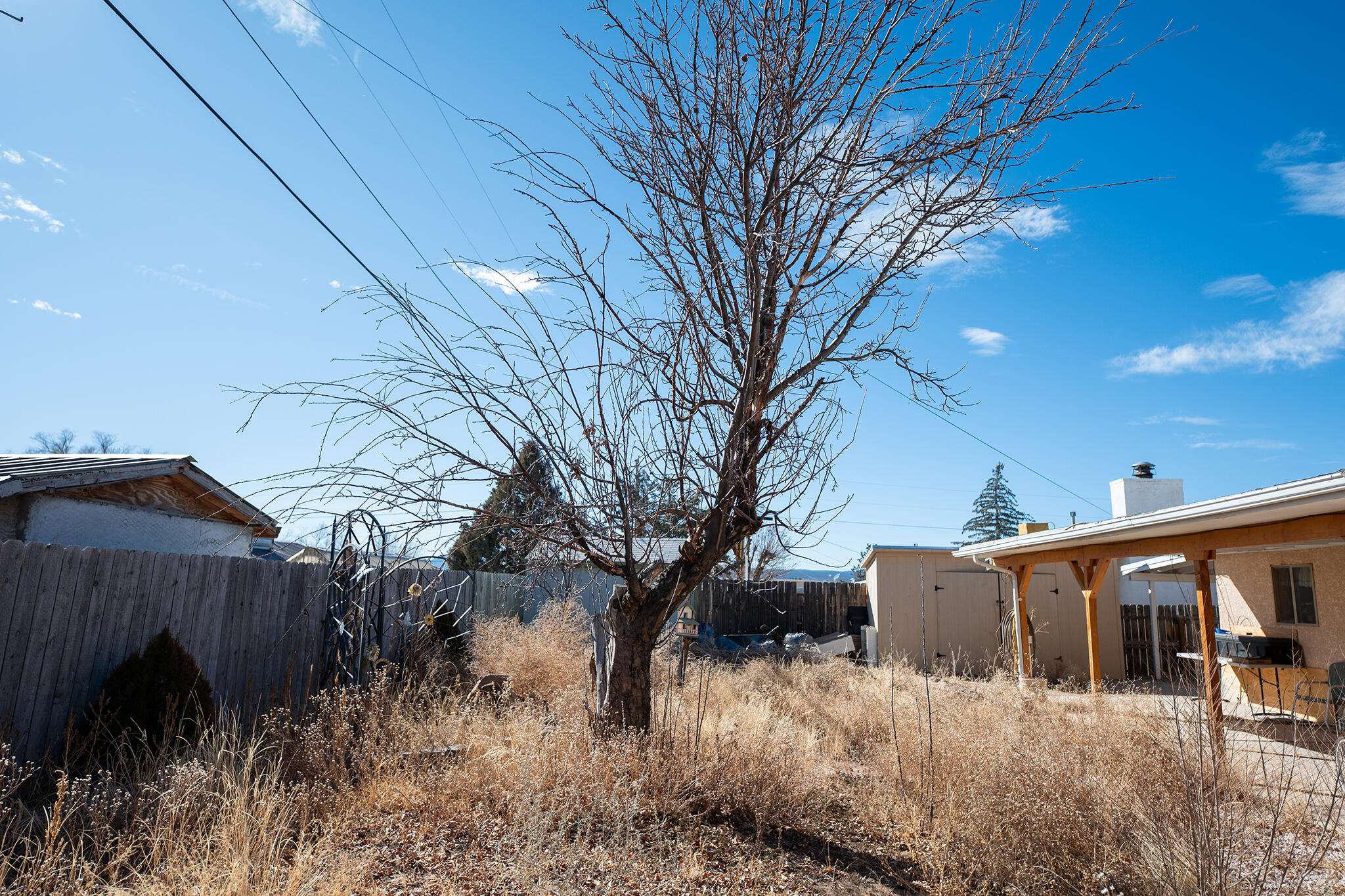 809 Kingman Avenue, Grants, New Mexico image 41