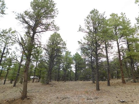 Vacant Land For Sale - S2 Leon Dr<br/> Quemado, NM 87829