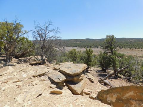 Photo of LOT 71 Alexis Road, Pie Town, NM 87827 (MLS # 1102339)