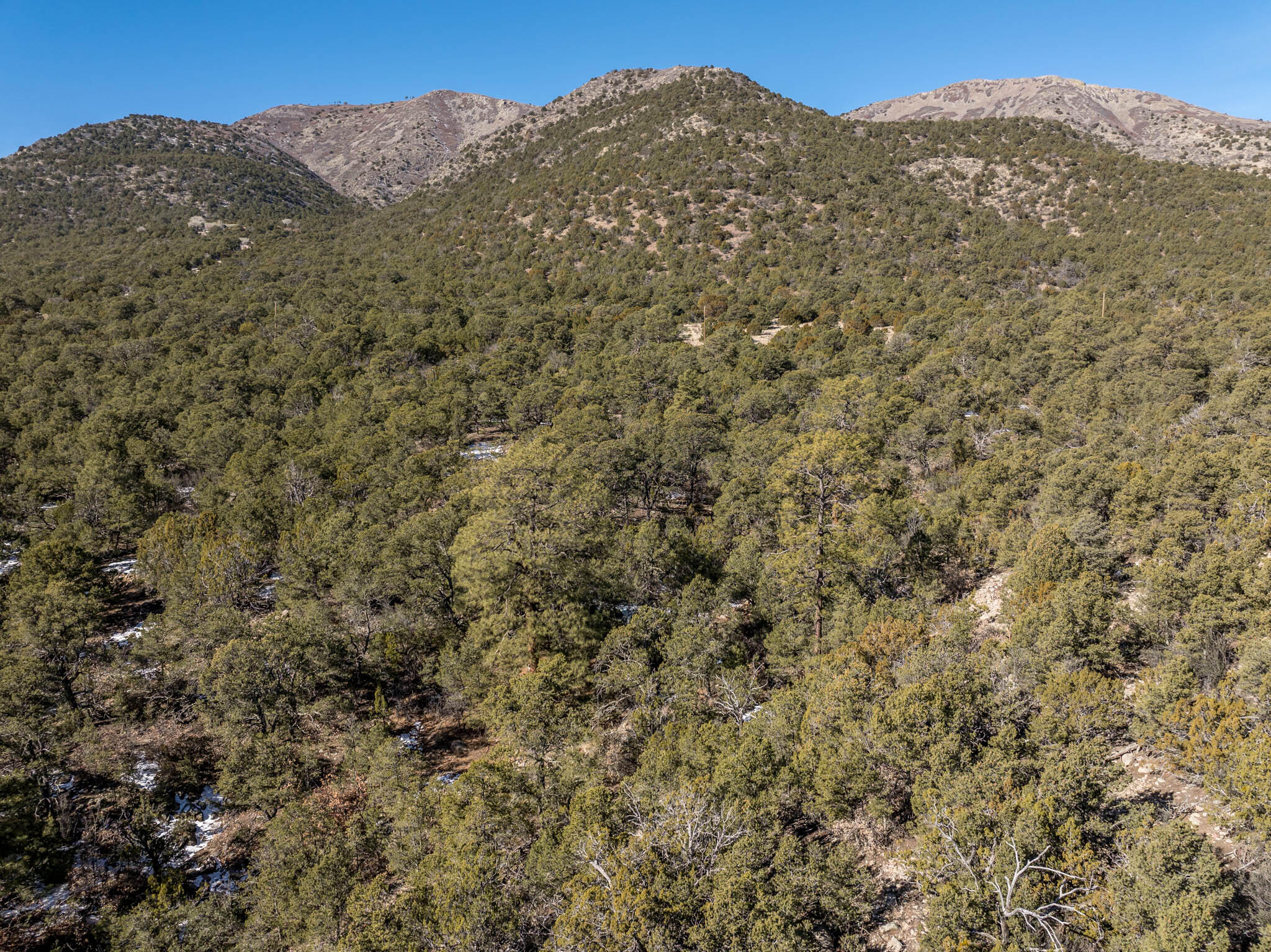 N Mountain Road, Edgewood, New Mexico image 20