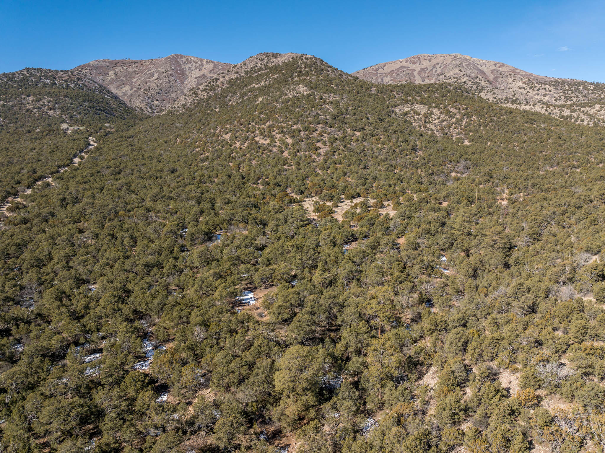 N Mountain Road, Edgewood, New Mexico image 5