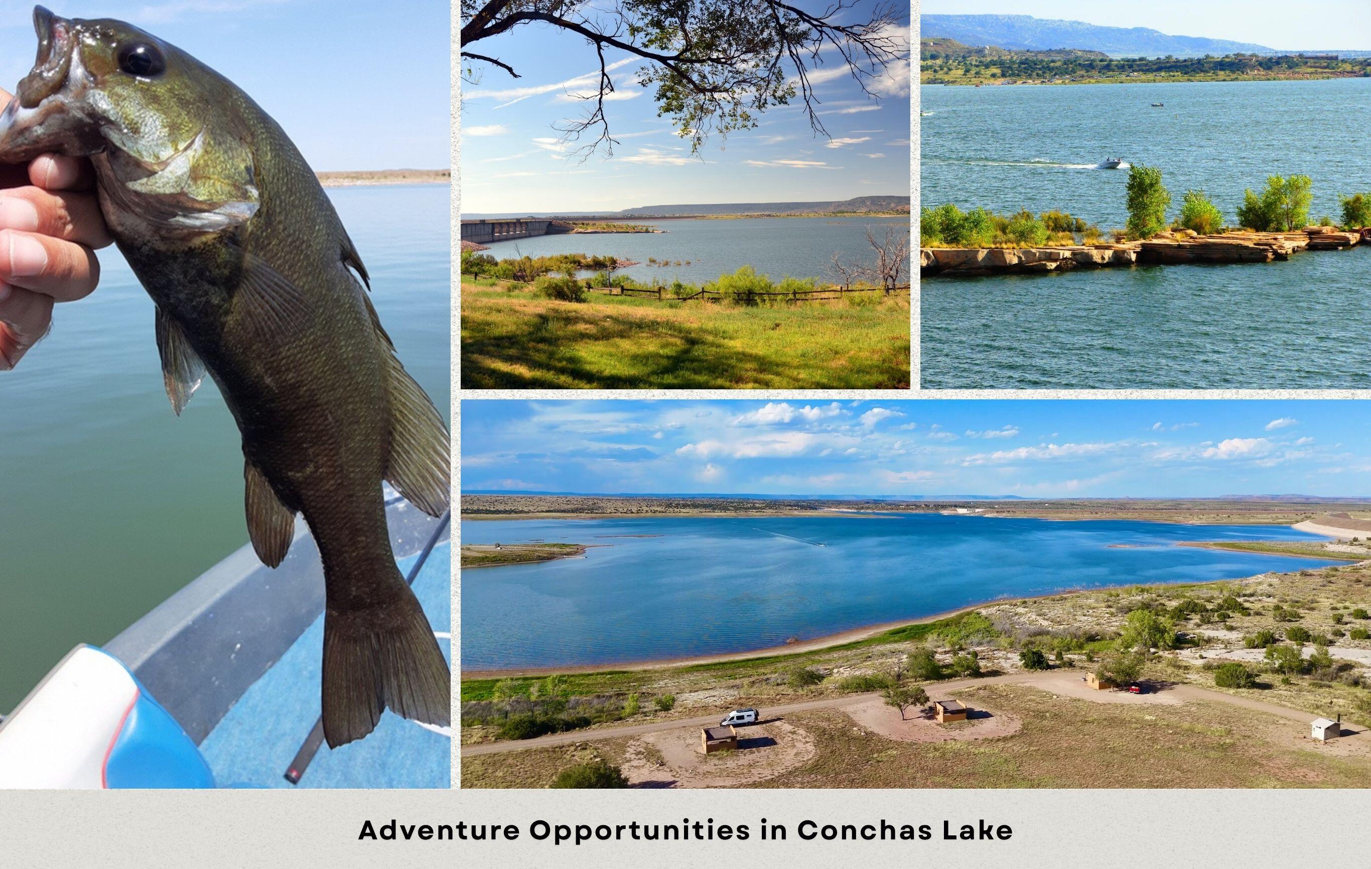 Conchas Dam Area, Conchas Dam, New Mexico image 20