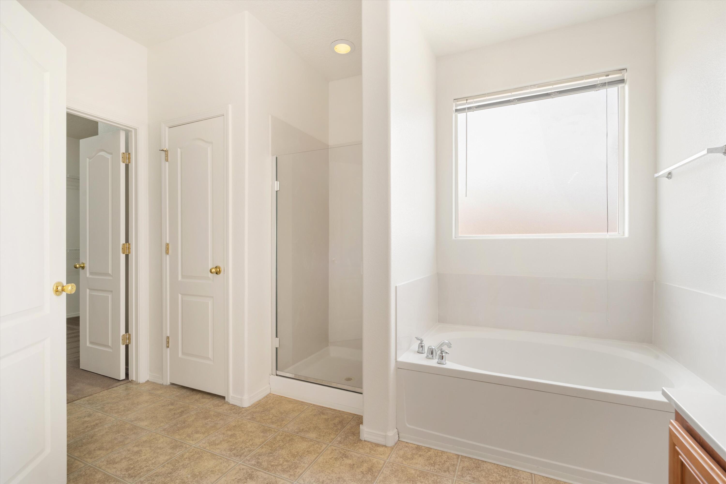 3581 Sun Mesa Street, Los Lunas, New Mexico image 43