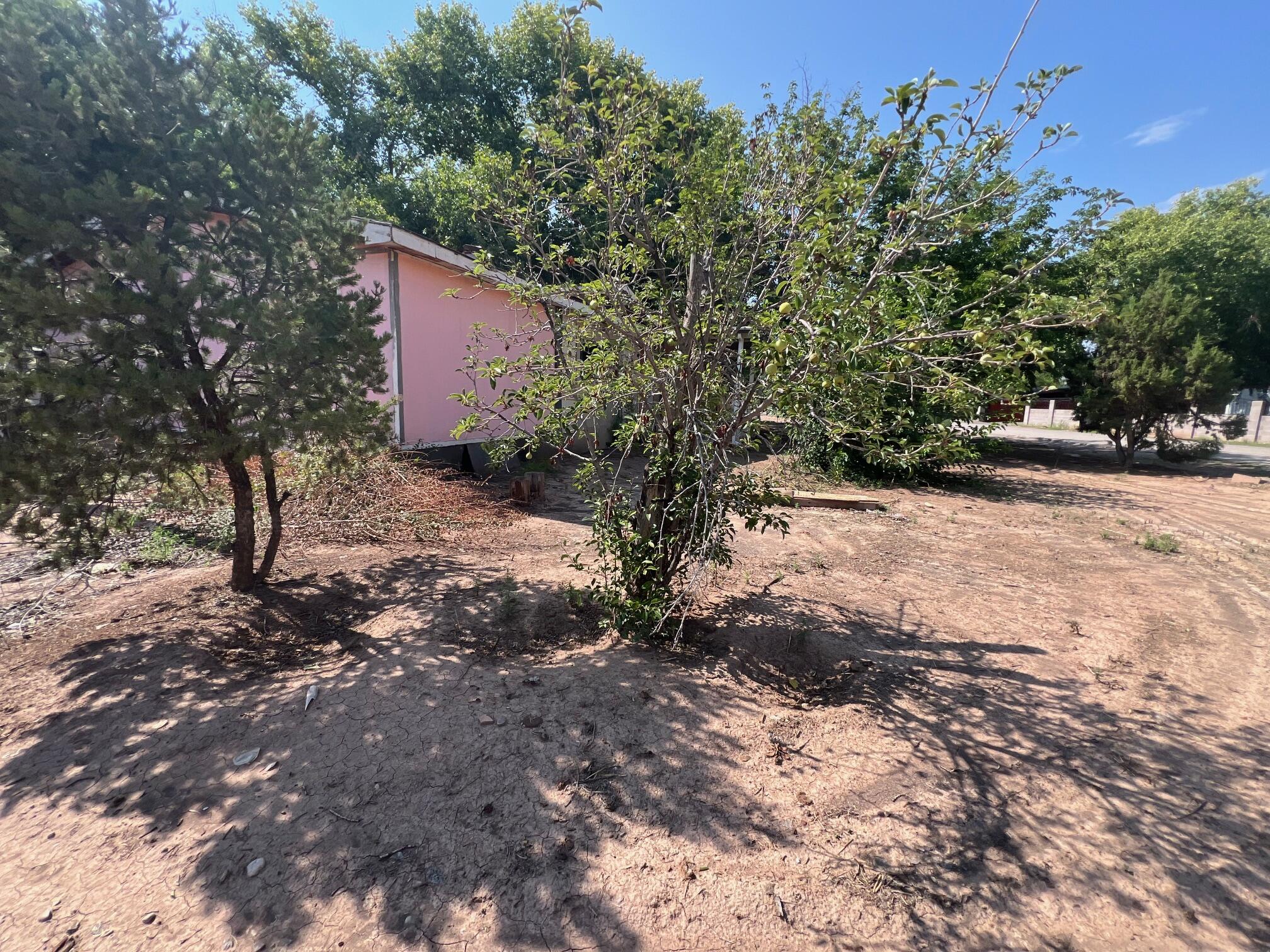 1835 Winchester Drive, Bosque Farms, New Mexico image 7