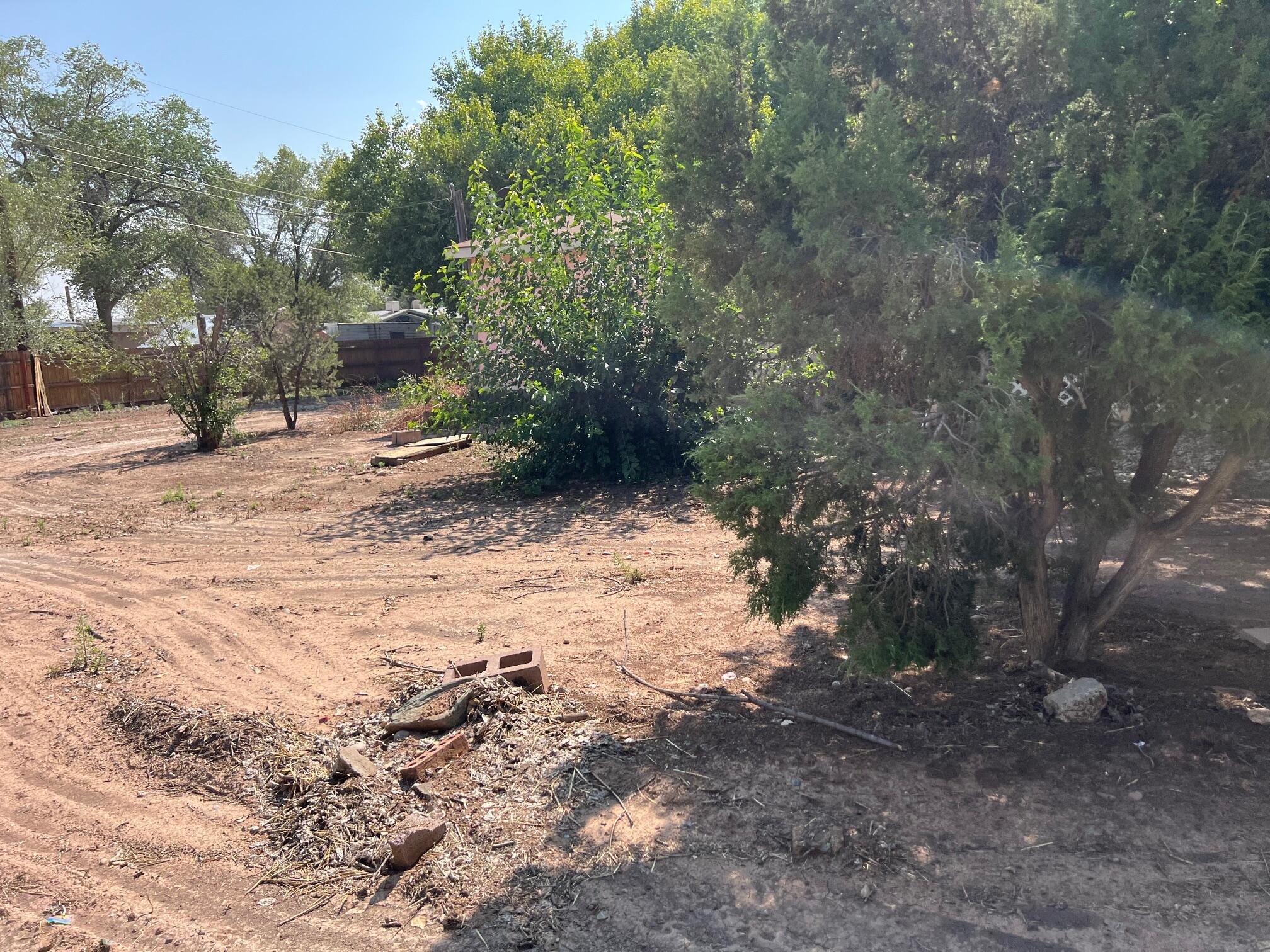 1835 Winchester Drive, Bosque Farms, New Mexico image 4