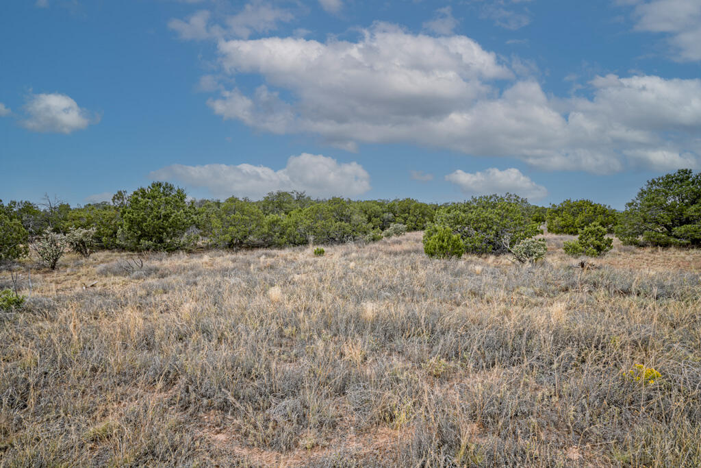 20 Via Entrada, Sandia Park, New Mexico image 7