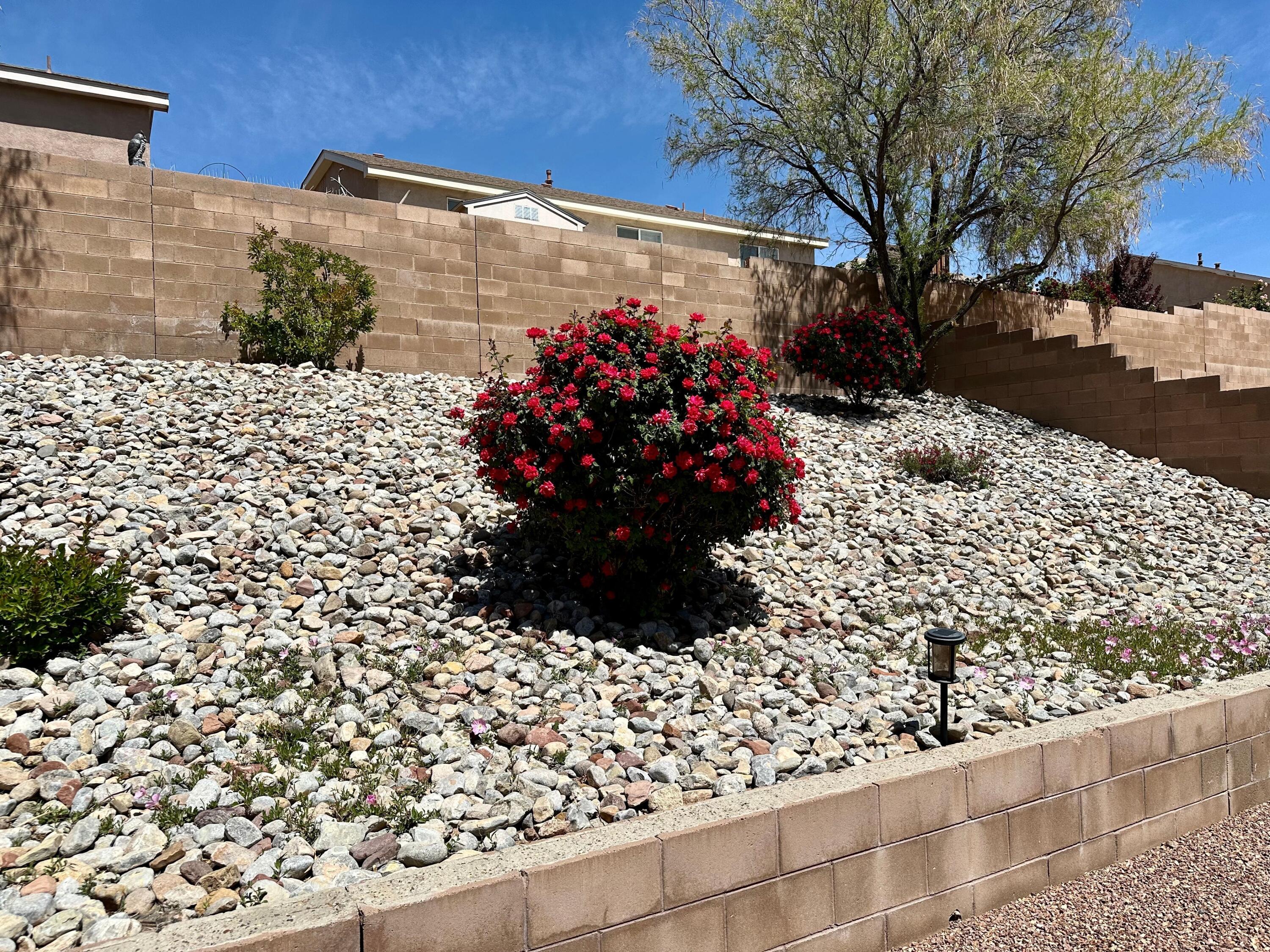 1080 Capitan Street, Los Lunas, New Mexico image 12