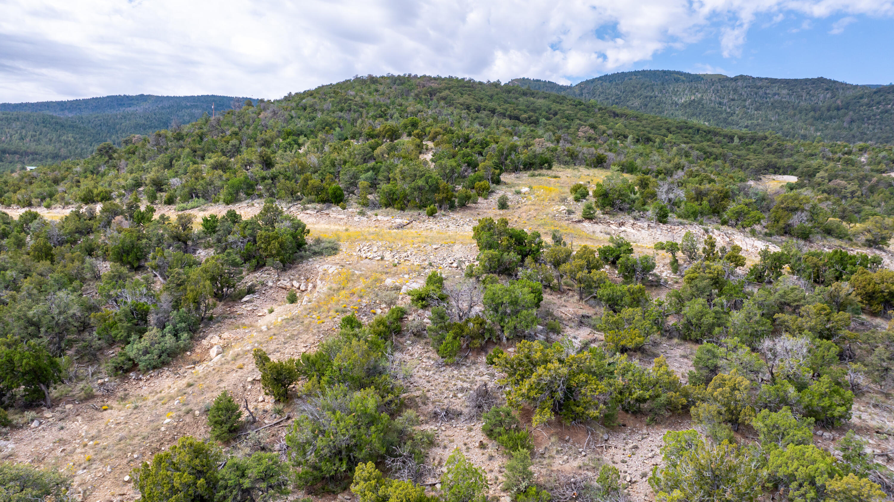 Lot 3 Fullerton Ridge, Sandia Park, New Mexico image 15