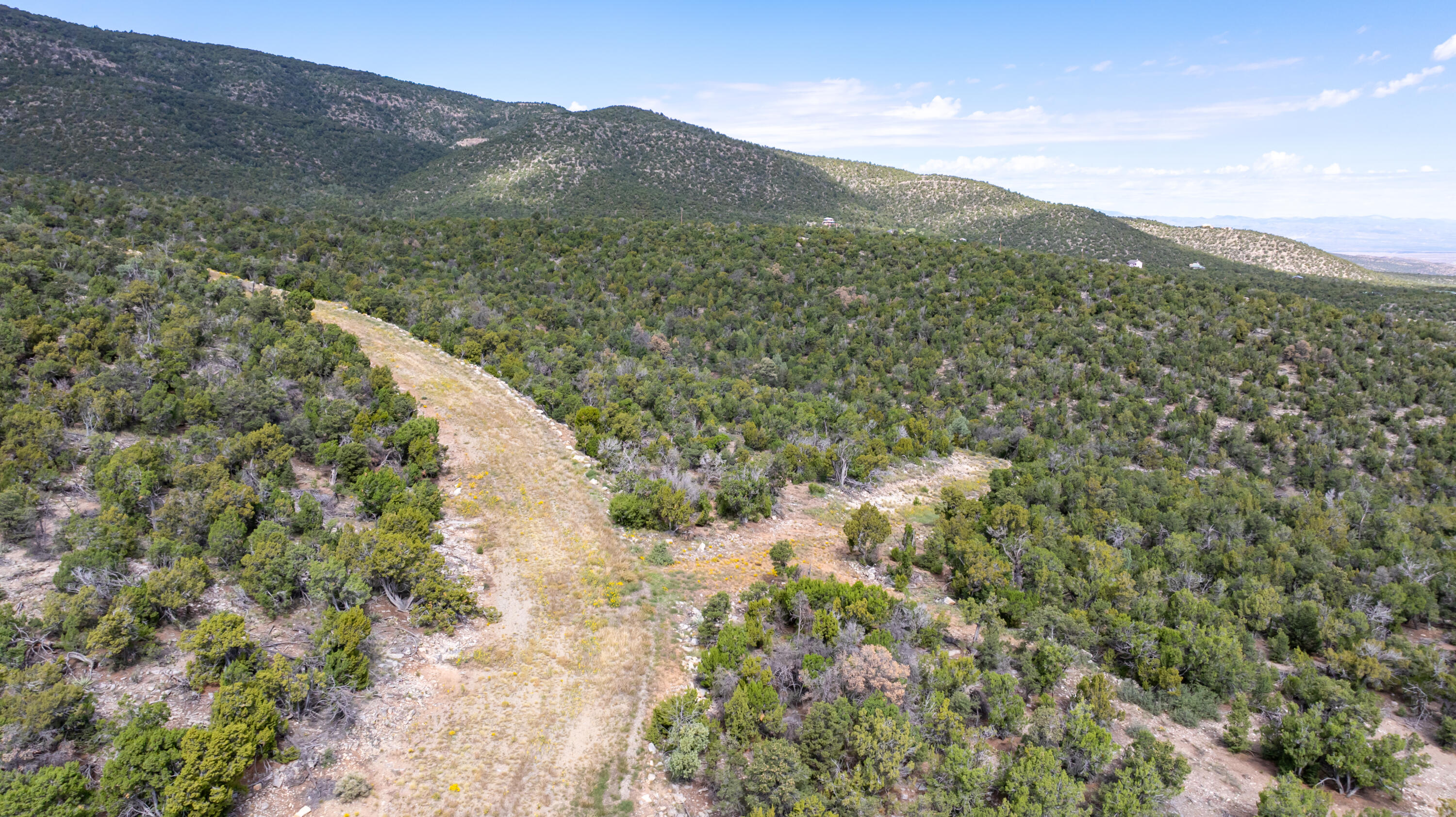 Lot 3 Fullerton Ridge, Sandia Park, New Mexico image 13