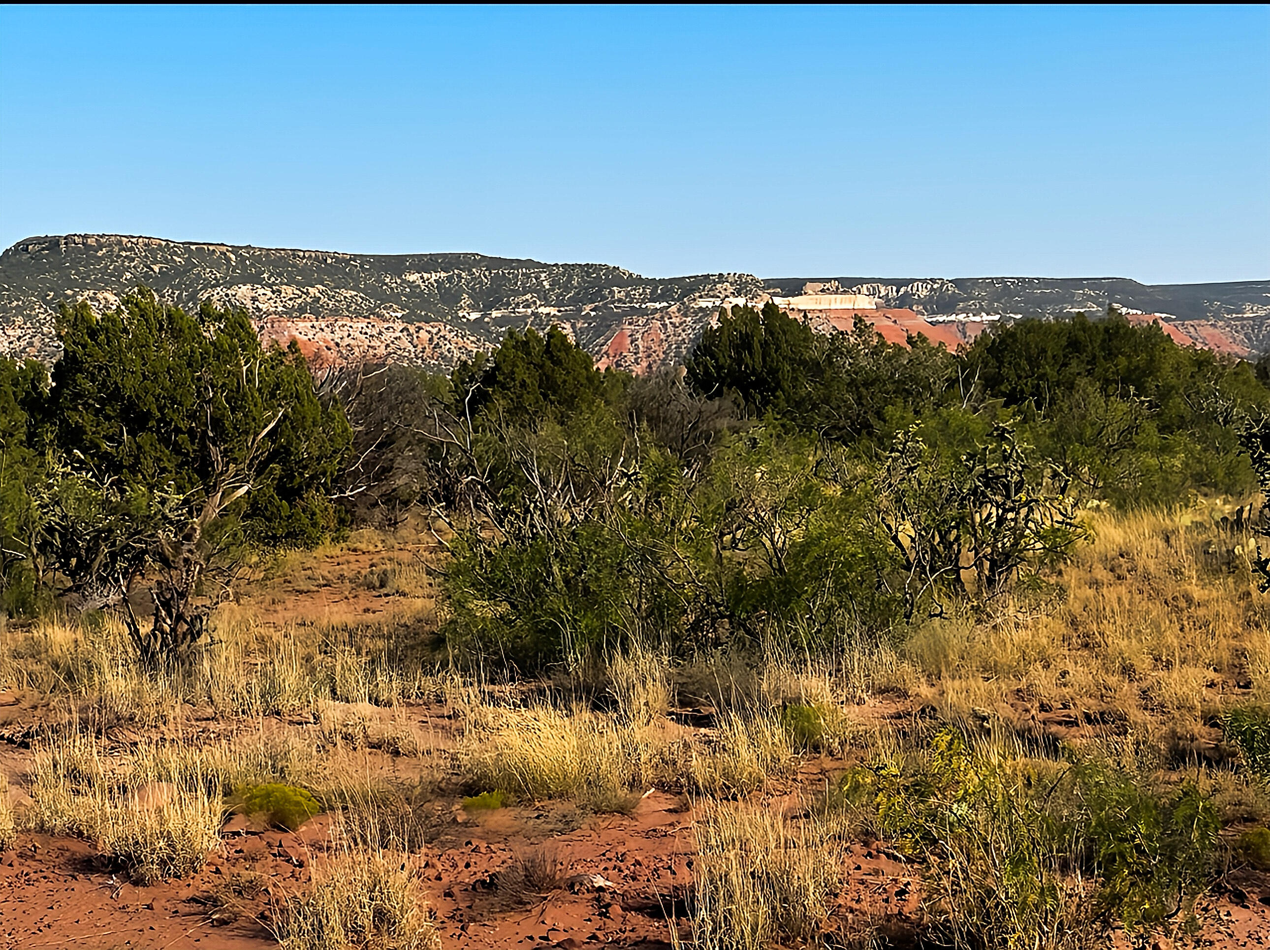 54 Bull Canyon Loop, Newkirk, New Mexico image 4