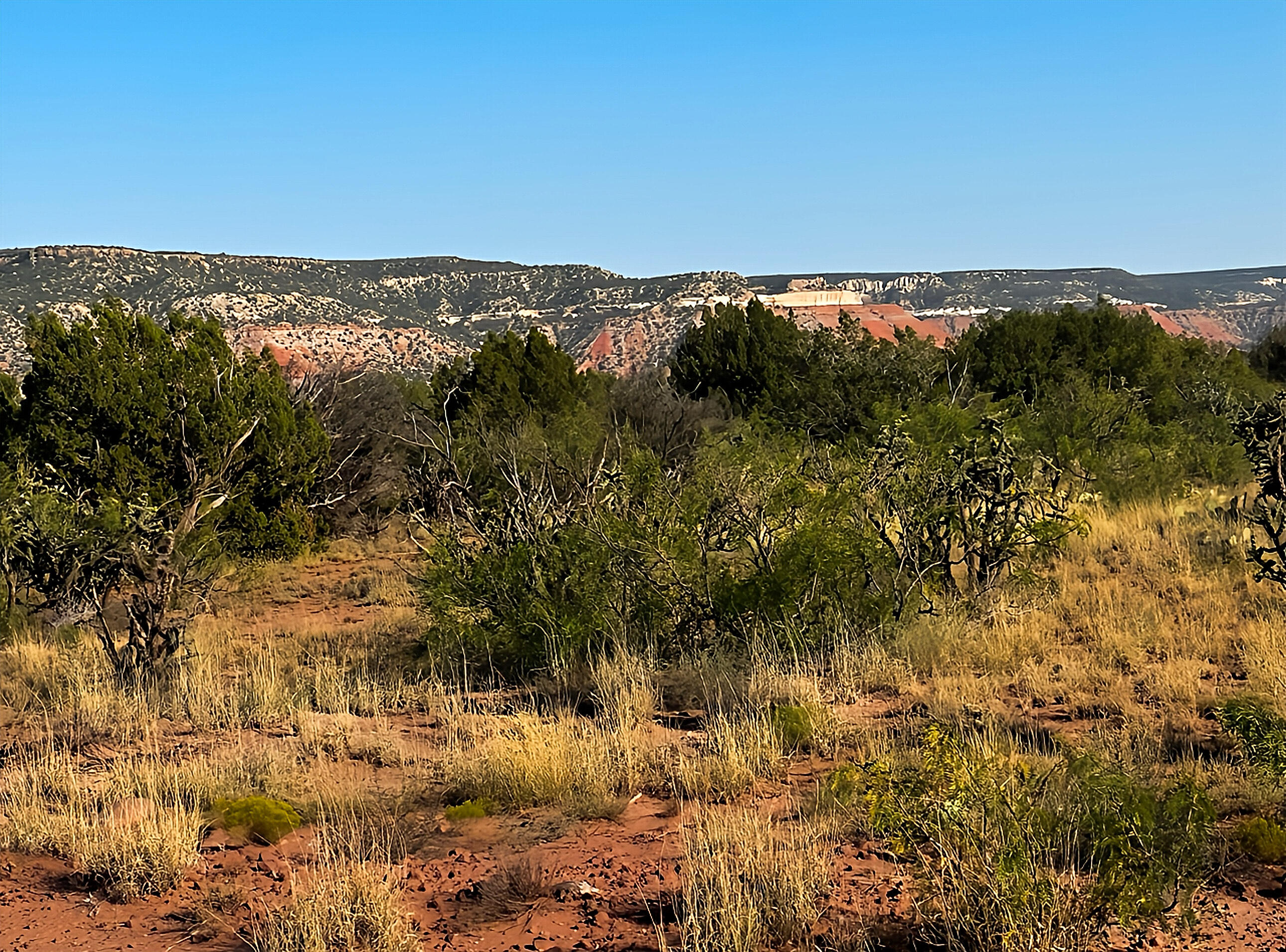 54 Bull Canyon Loop, Newkirk, New Mexico image 2