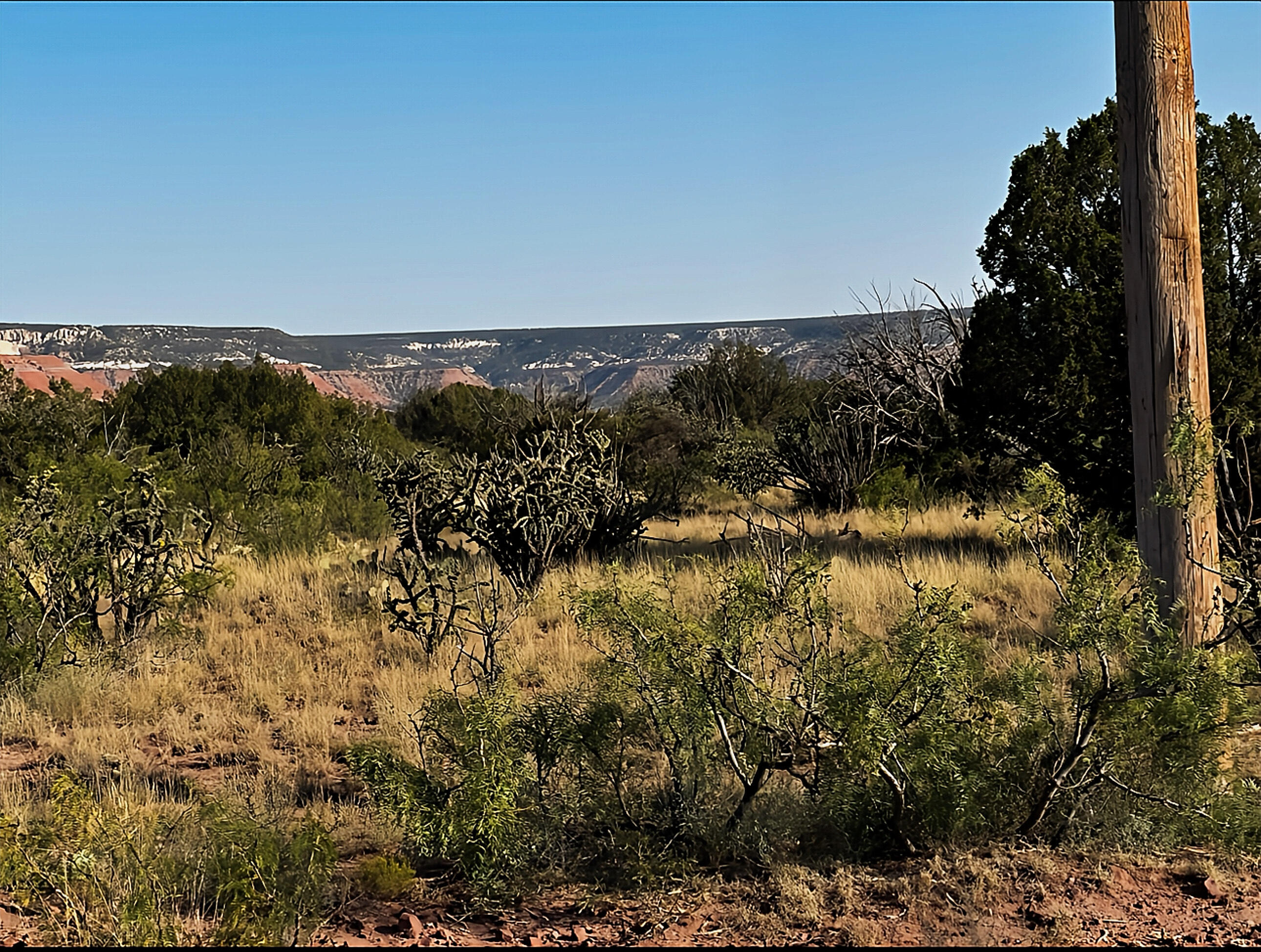 54 Bull Canyon Loop, Newkirk, New Mexico image 3