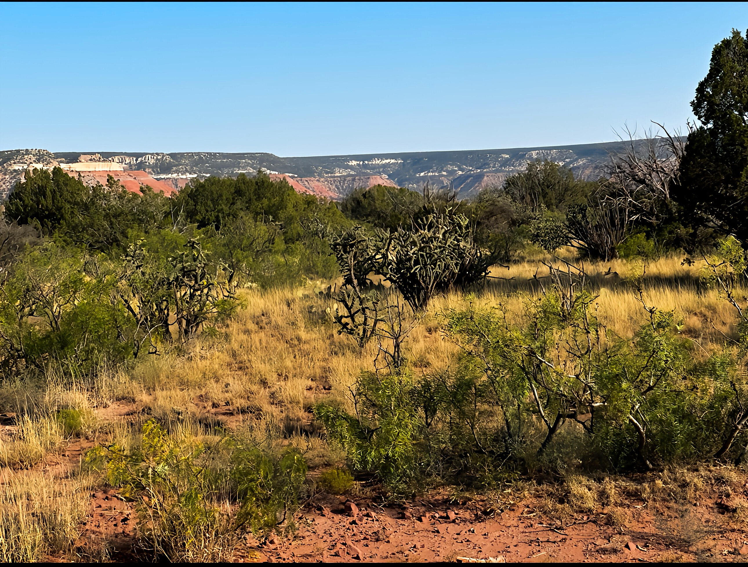 54 Bull Canyon Loop, Newkirk, New Mexico image 1