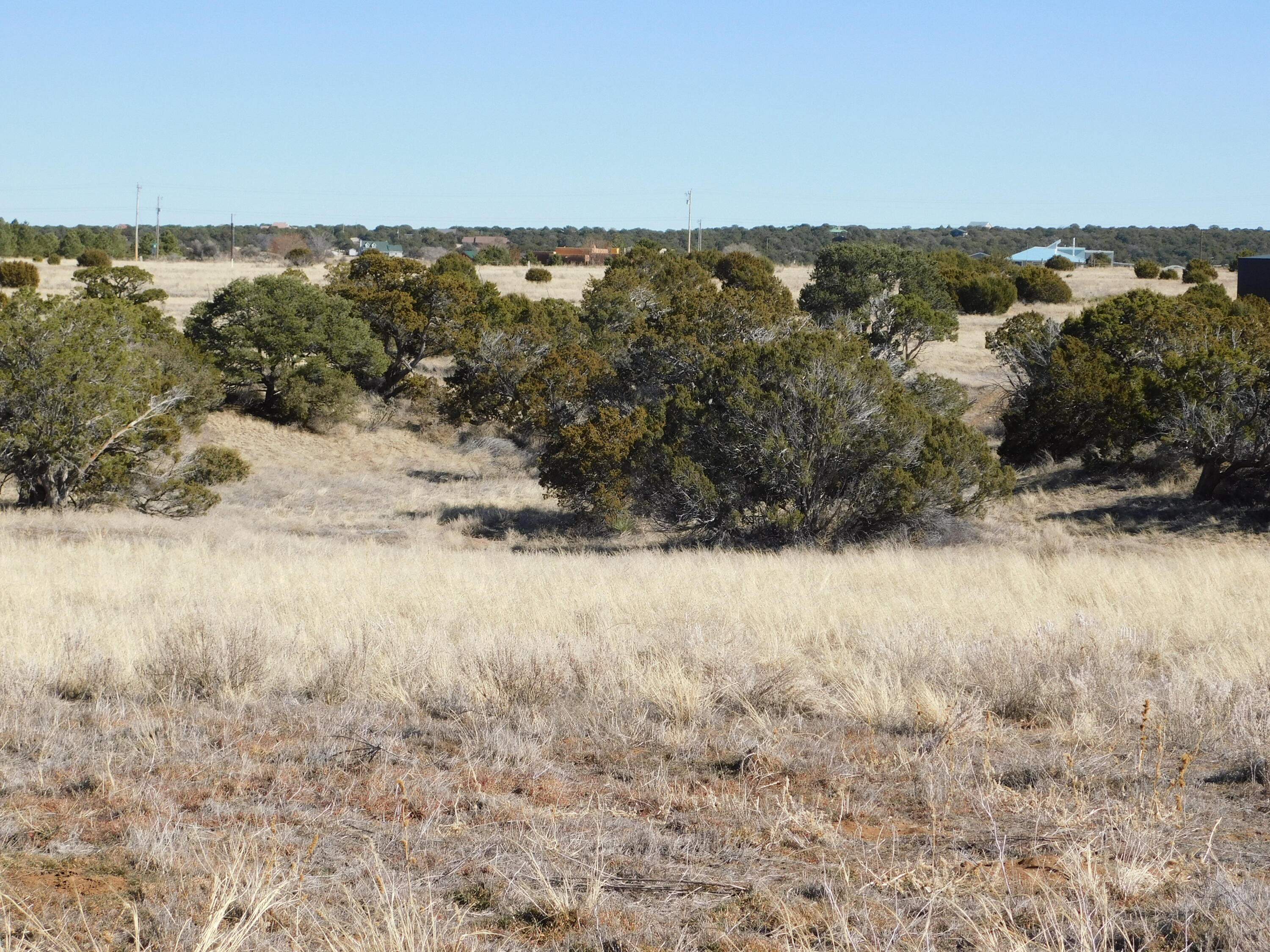 2 Alba Prado Court, Sandia Park, New Mexico image 7