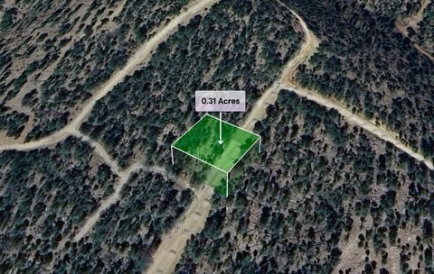 Photo of 113 Thunderbird Drive, Ruidoso, NM 88345 (MLS # 1098171)